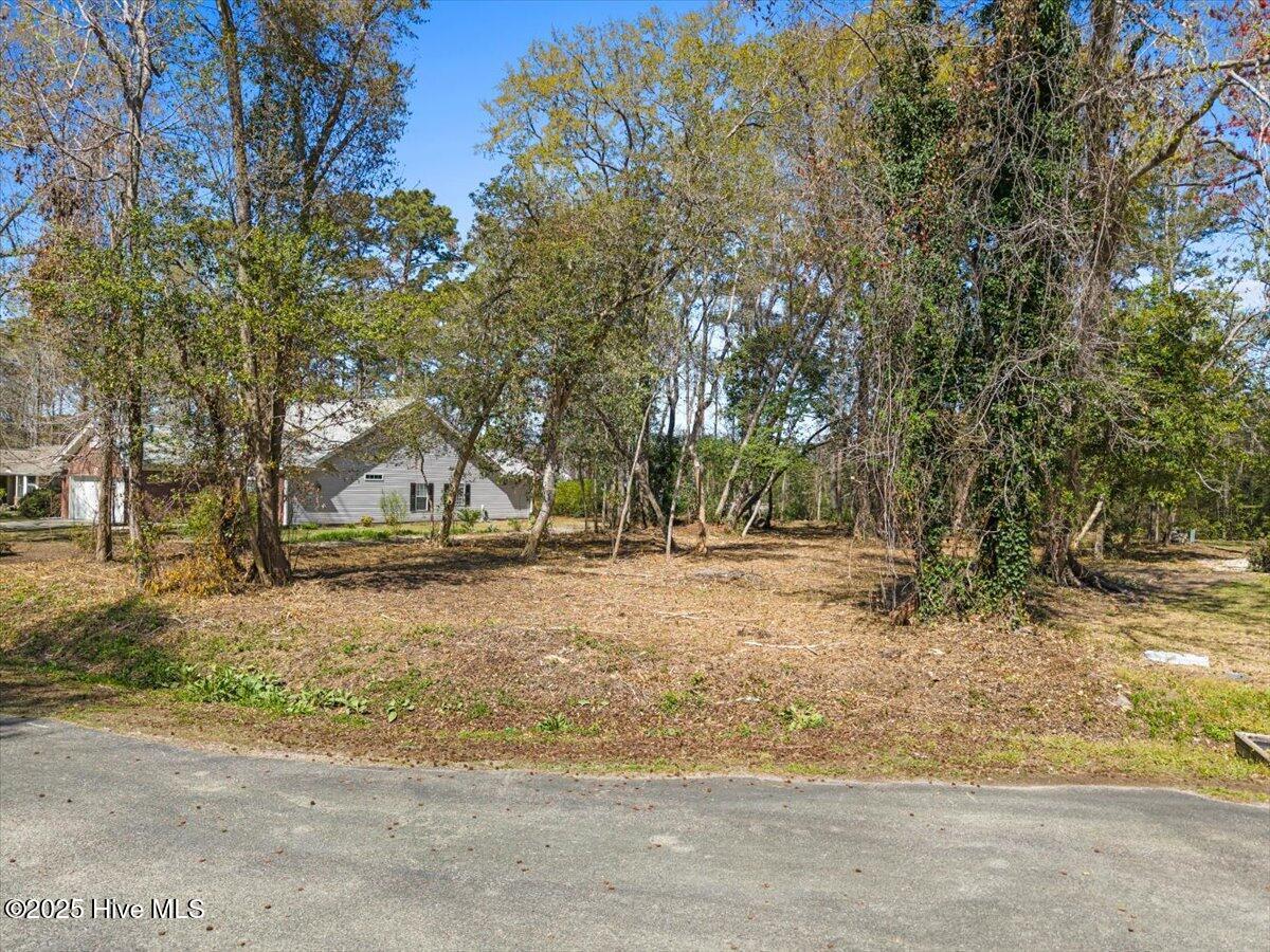 19 Sand Dollar Court Property Photo 6