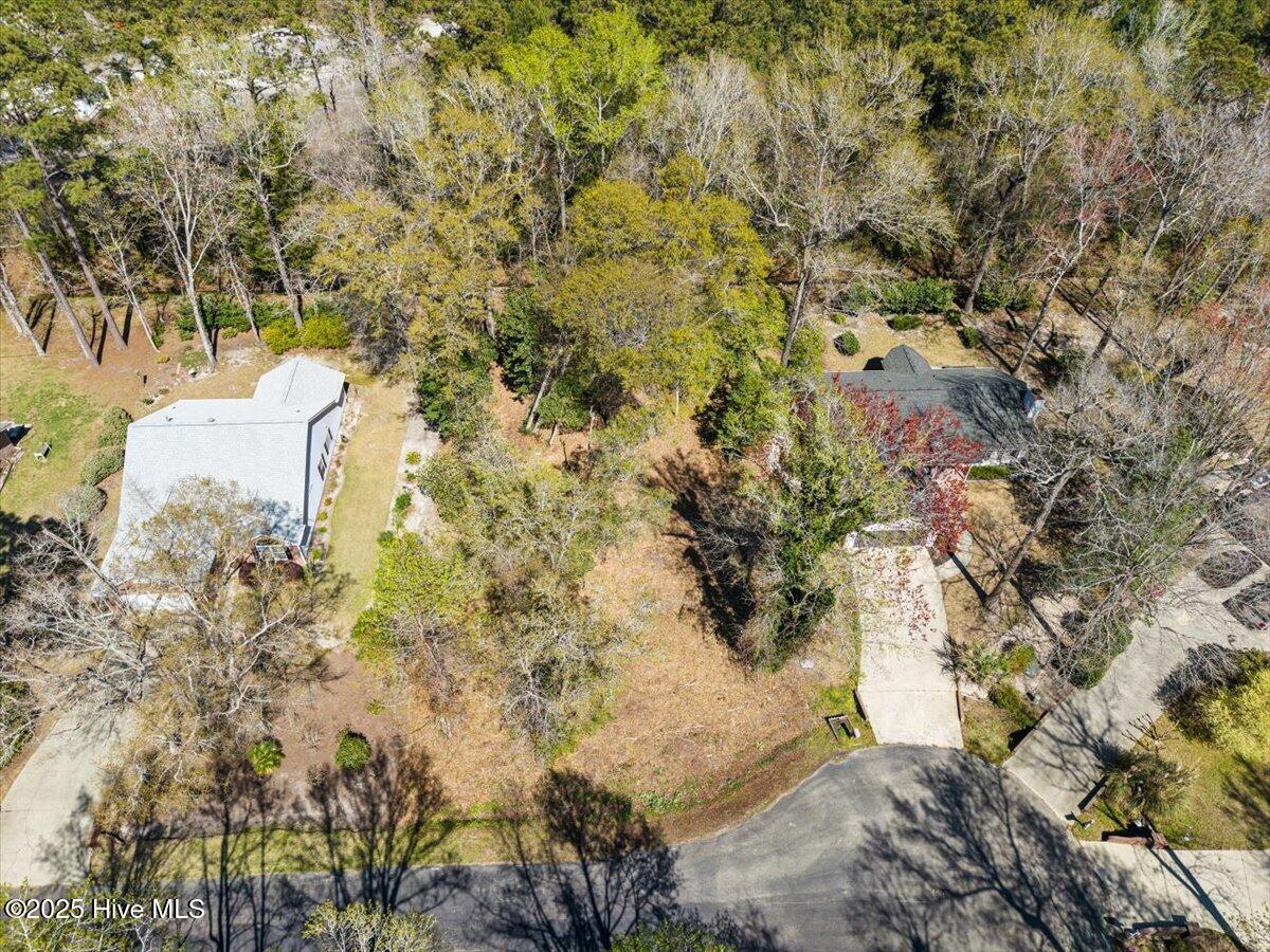 19 Sand Dollar Court Property Photo 7