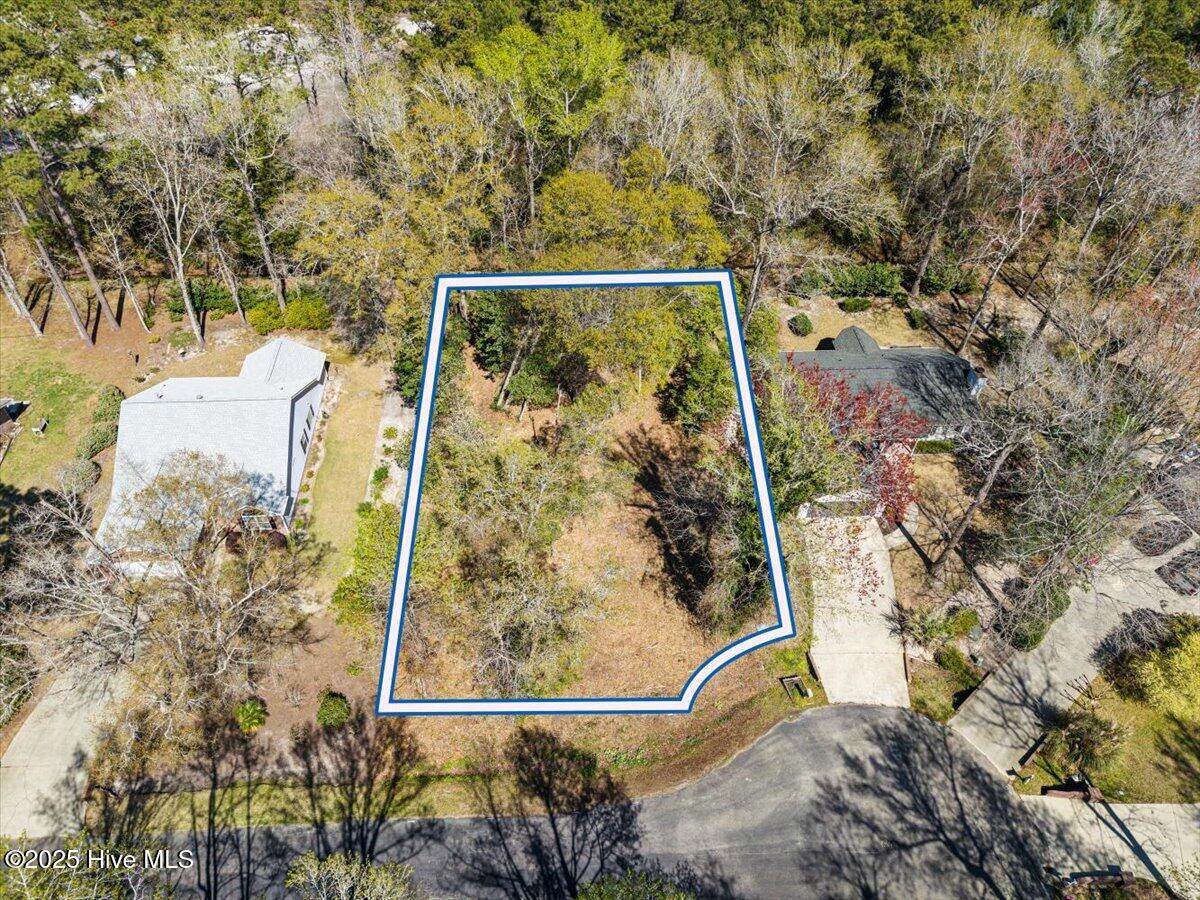 19 Sand Dollar Court Property Photo 8