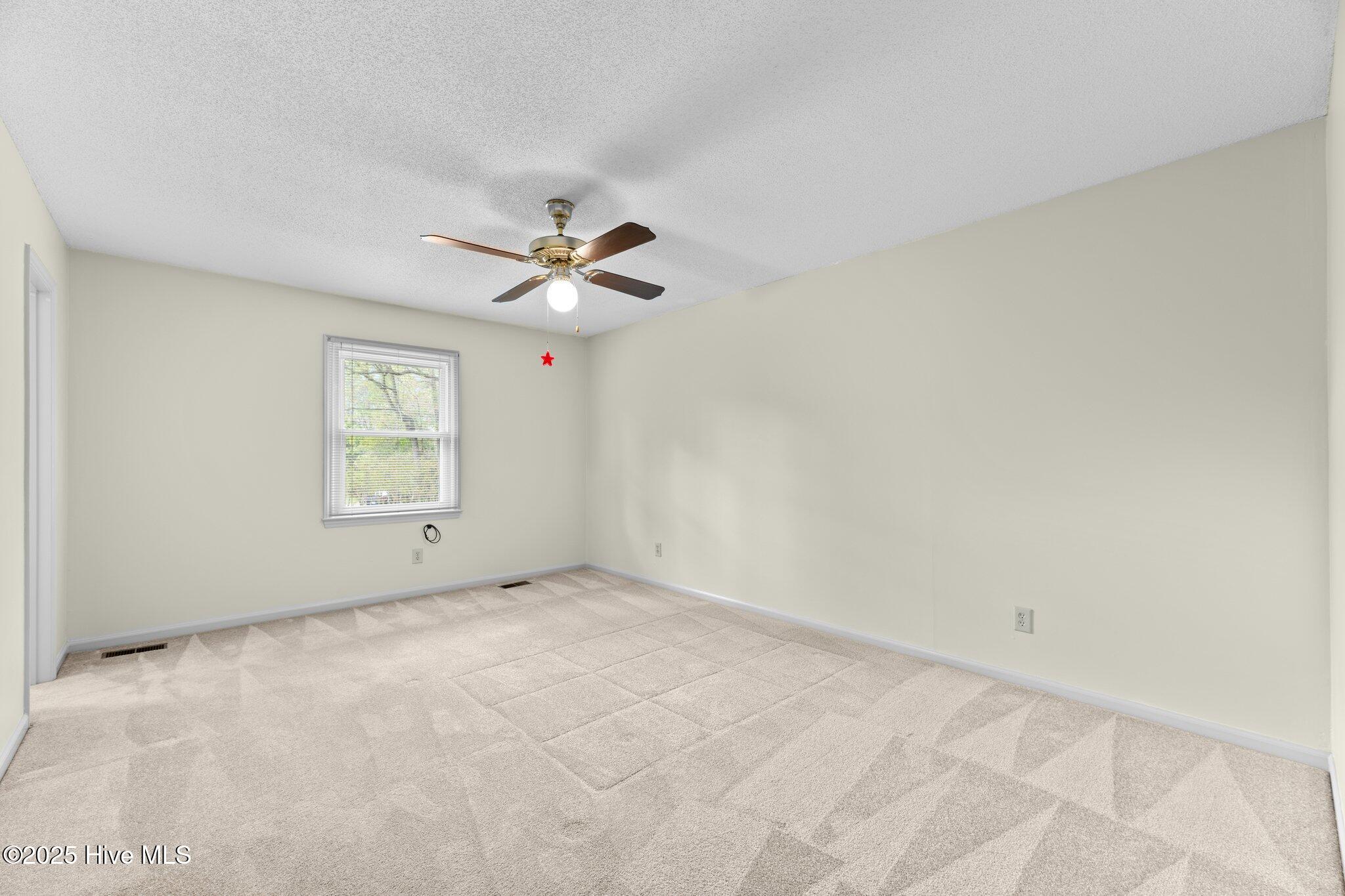 243 Snead Road Property Photo 27