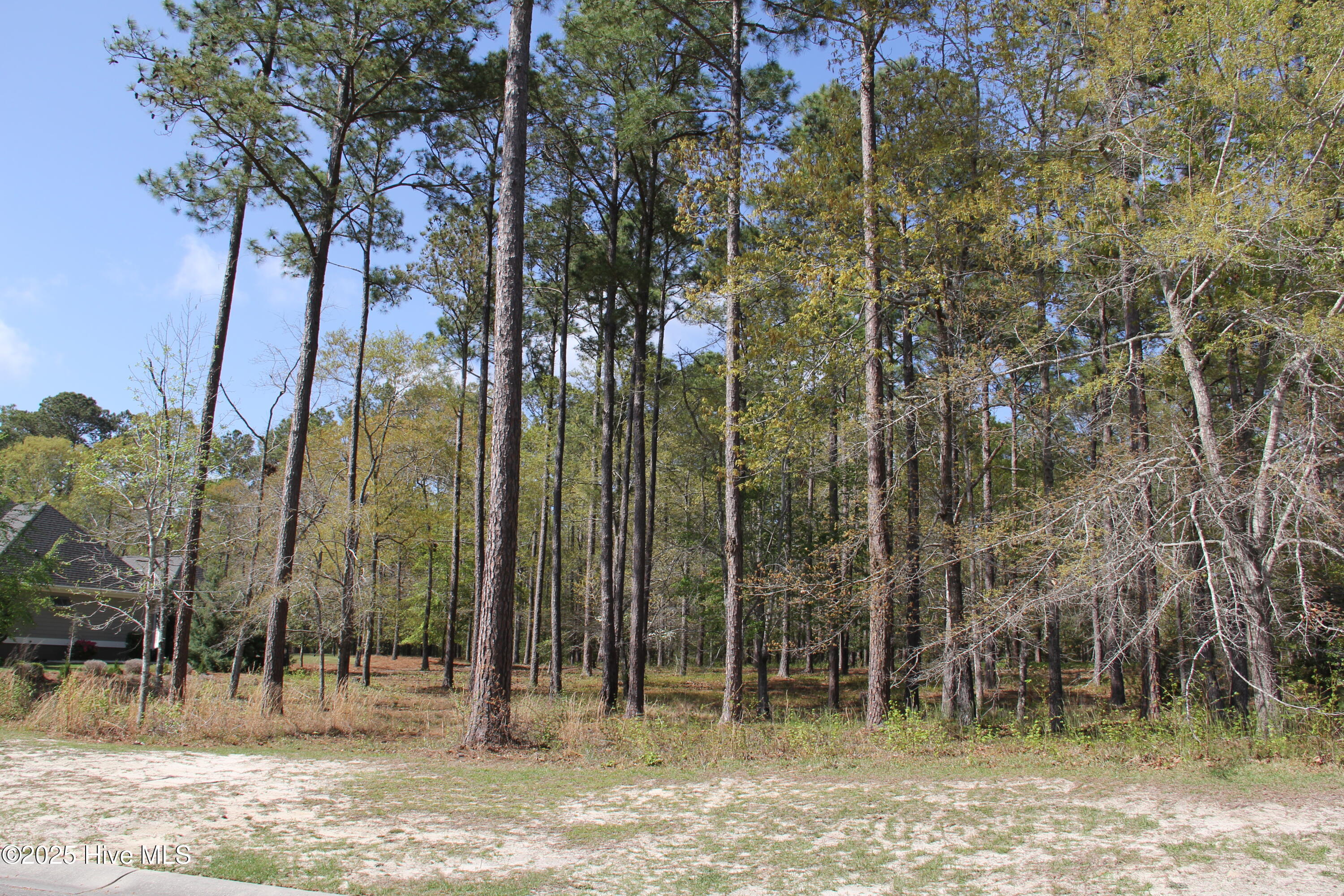 894 Hollybriar Drive Property Photo 1