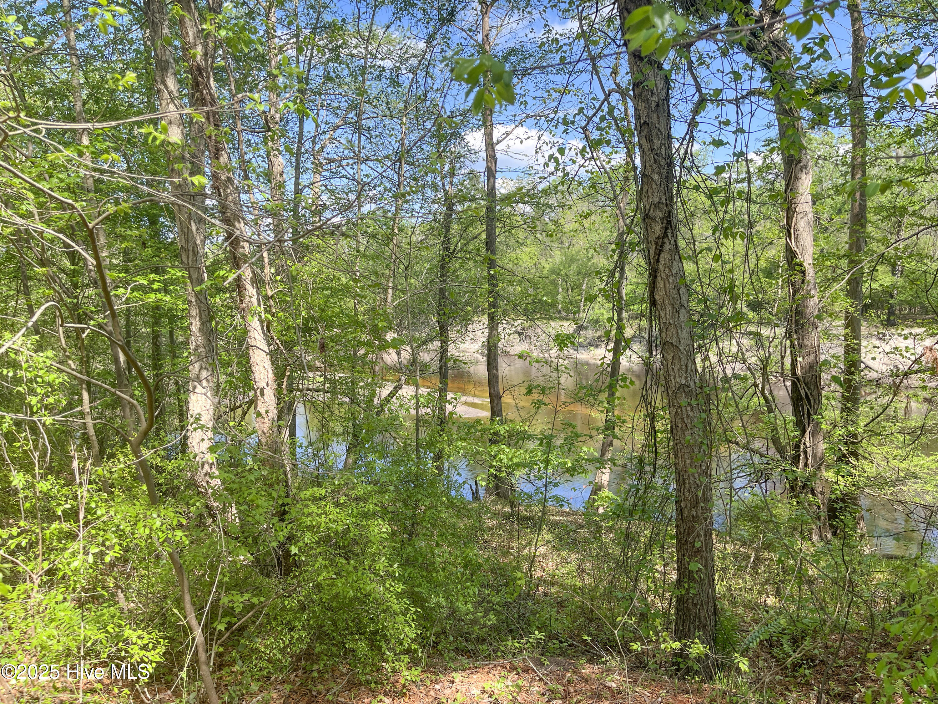 167 River Ridge Drive Property Photo 6