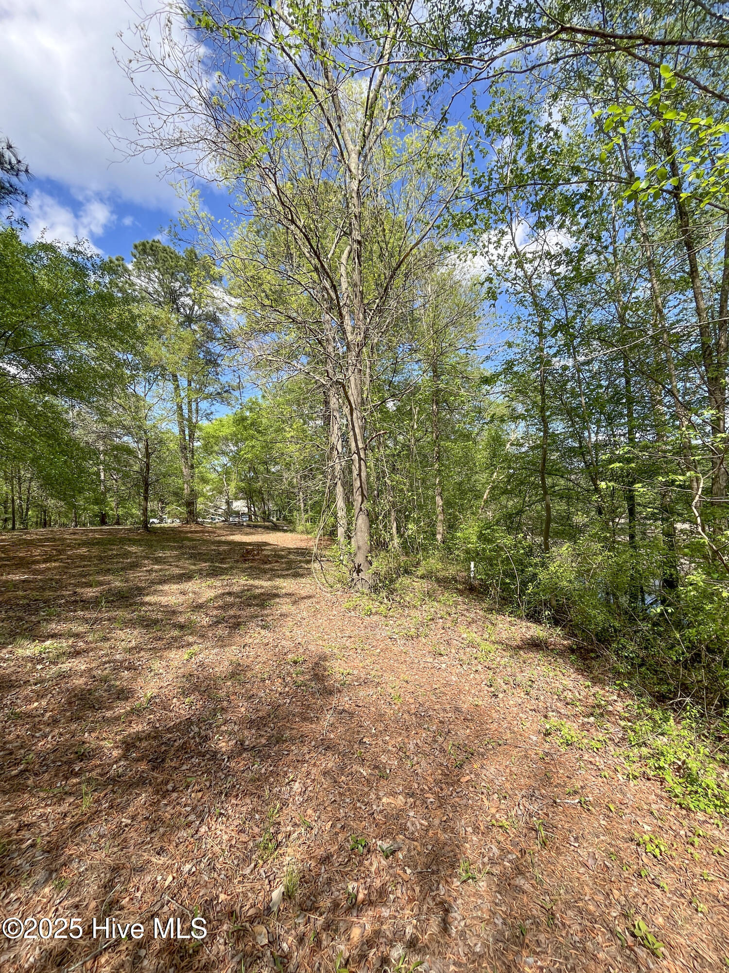 167 River Ridge Drive Property Photo 8