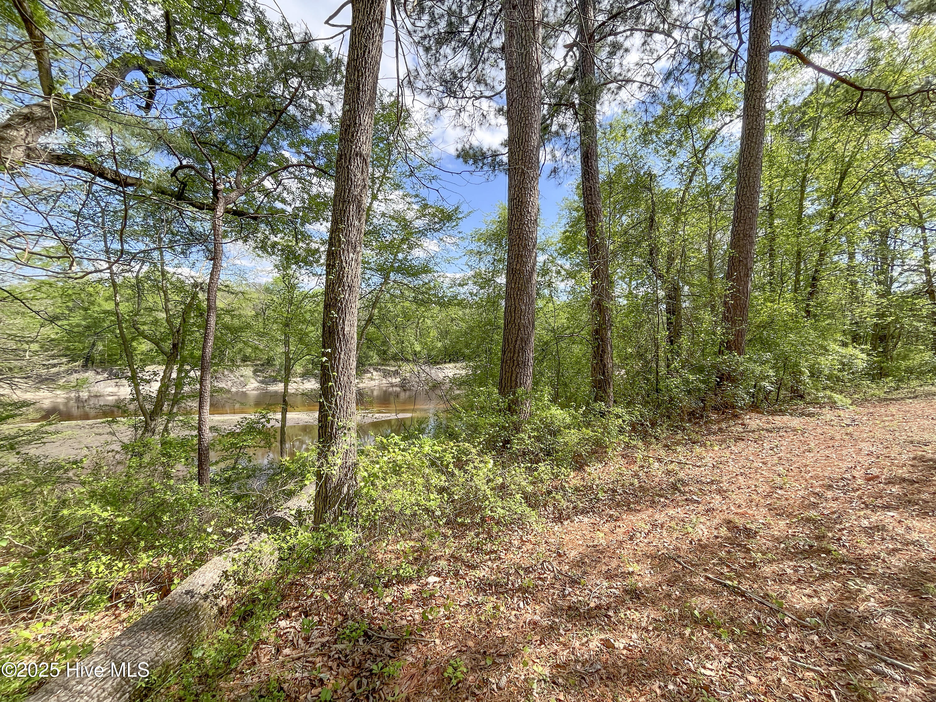 167 River Ridge Drive Property Photo 9