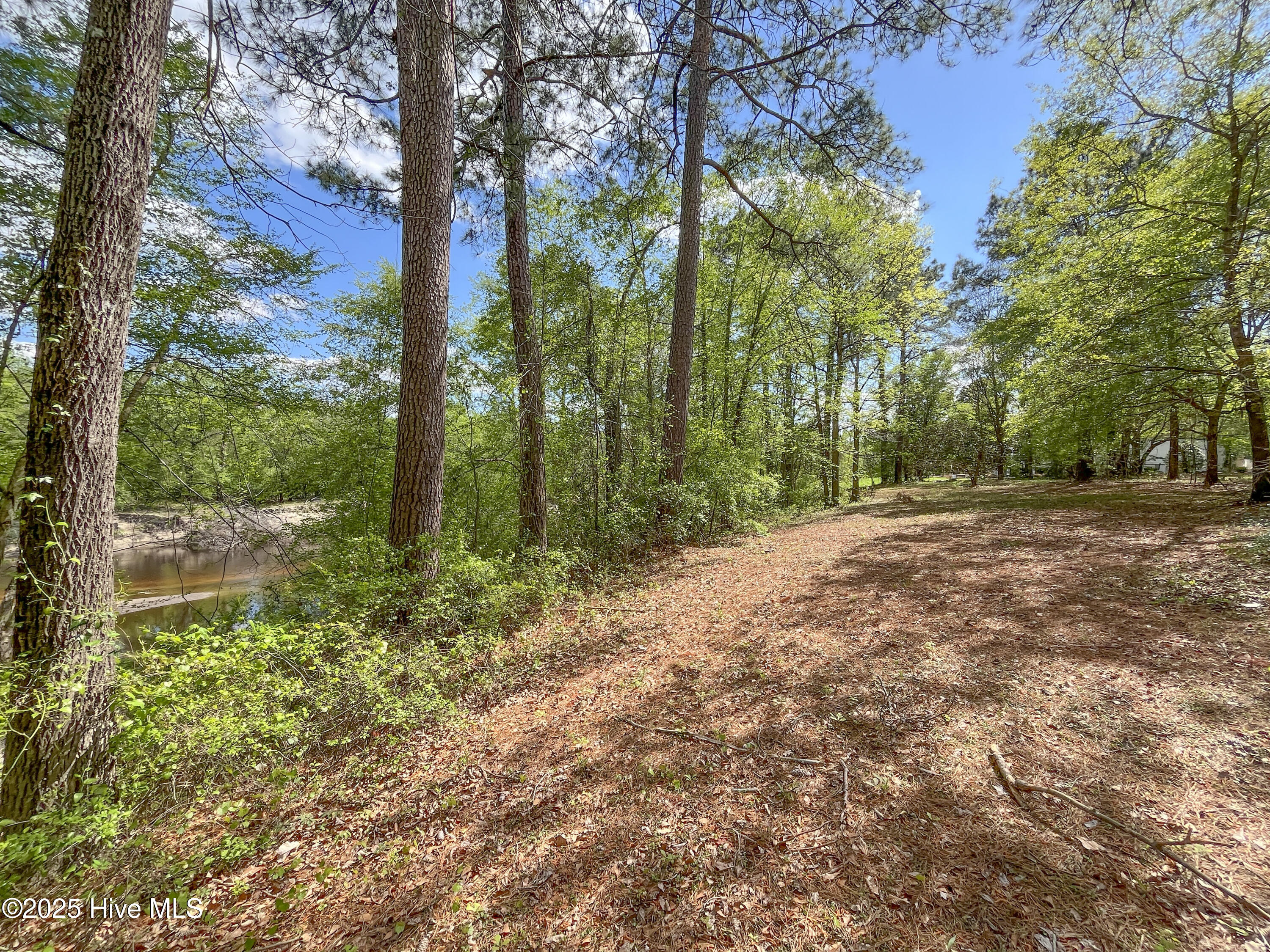 167 River Ridge Drive Property Photo 10
