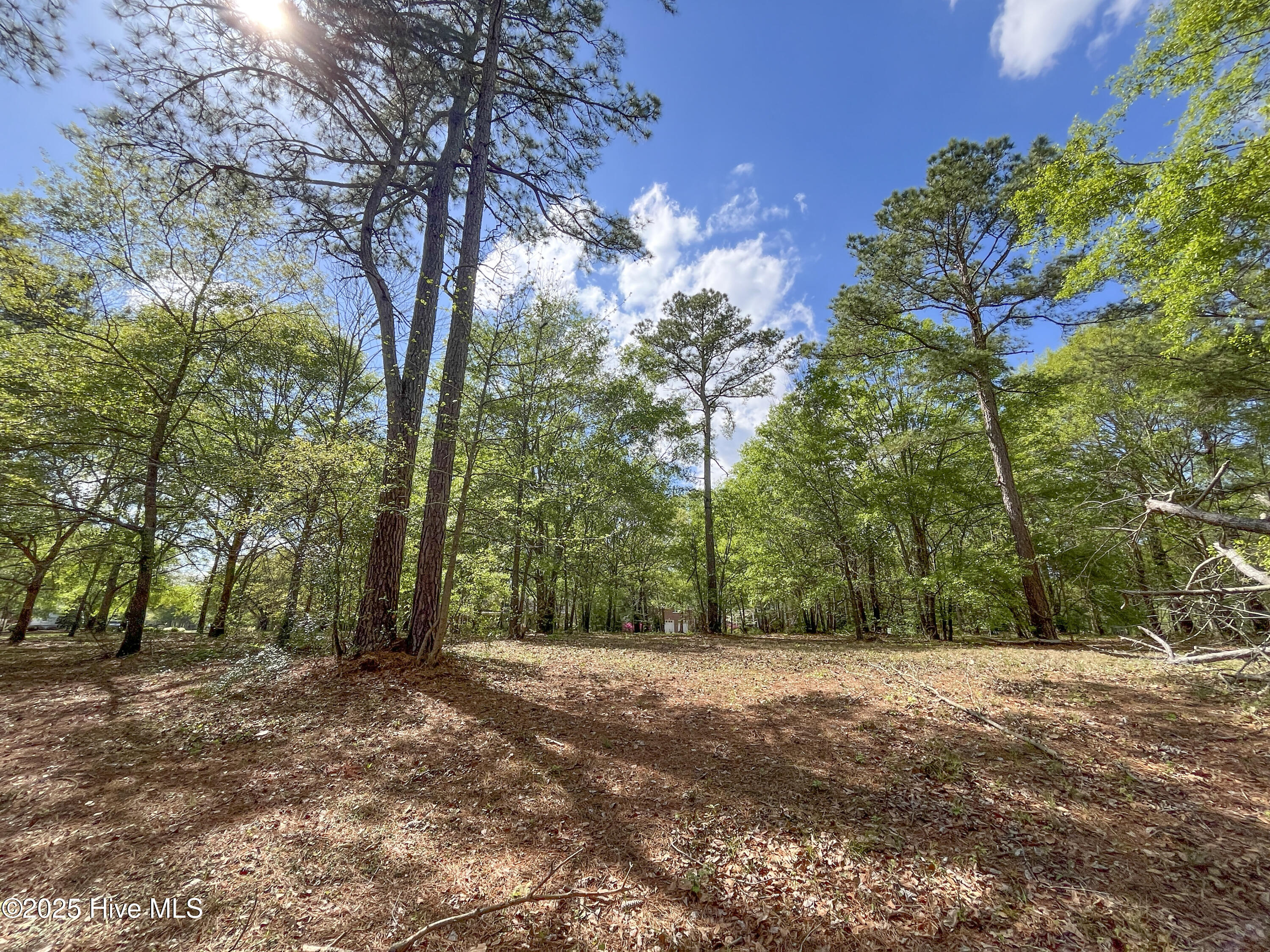 167 River Ridge Drive Property Photo 11