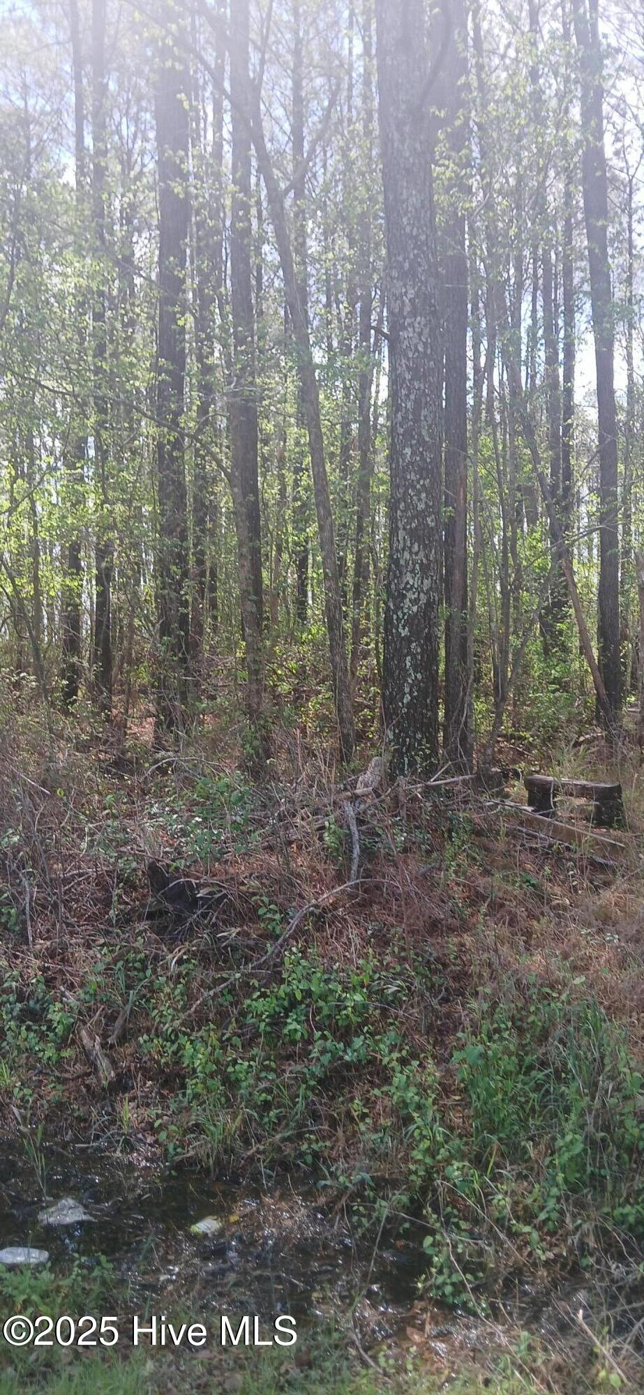0 Bailey Road Property Photo 2