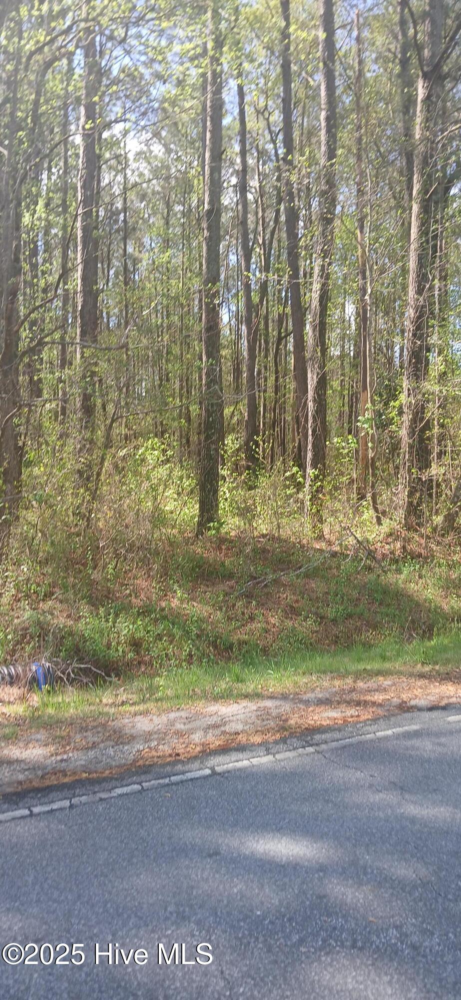 0 Bailey Road Property Photo 3