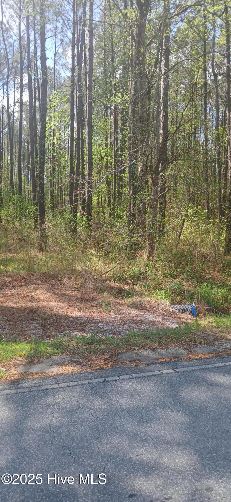 0 Bailey Road Property Photo 4