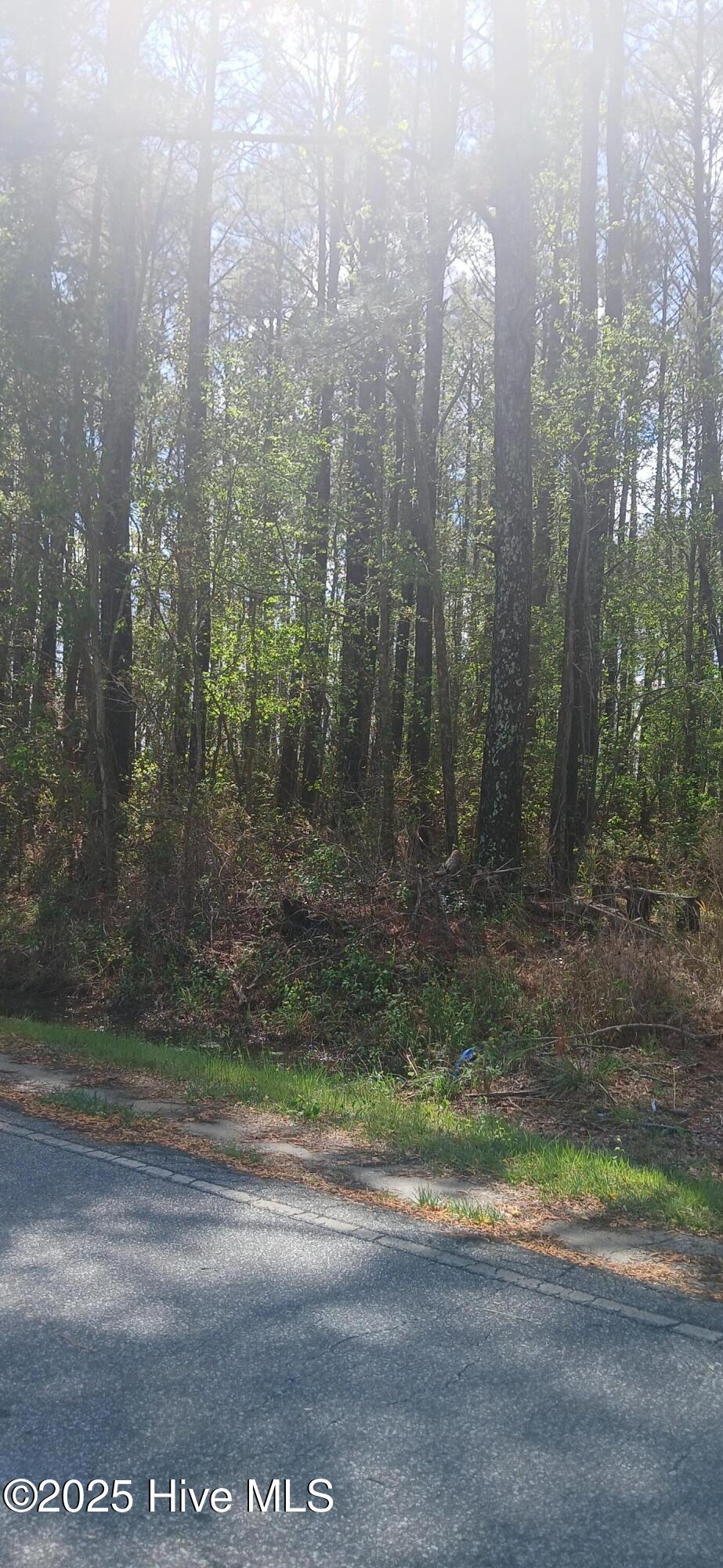 0 Bailey Road Property Photo 5
