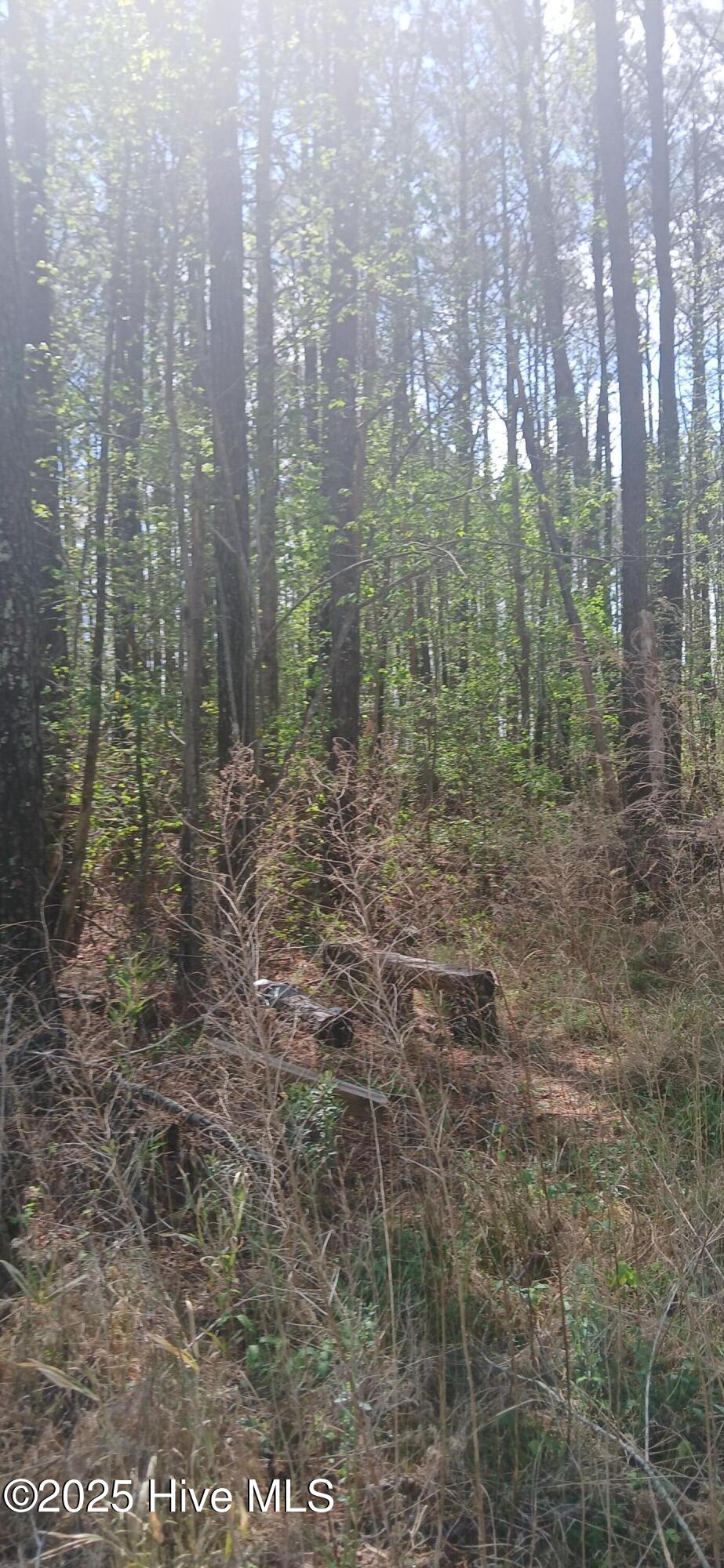 0 Bailey Road Property Photo 7