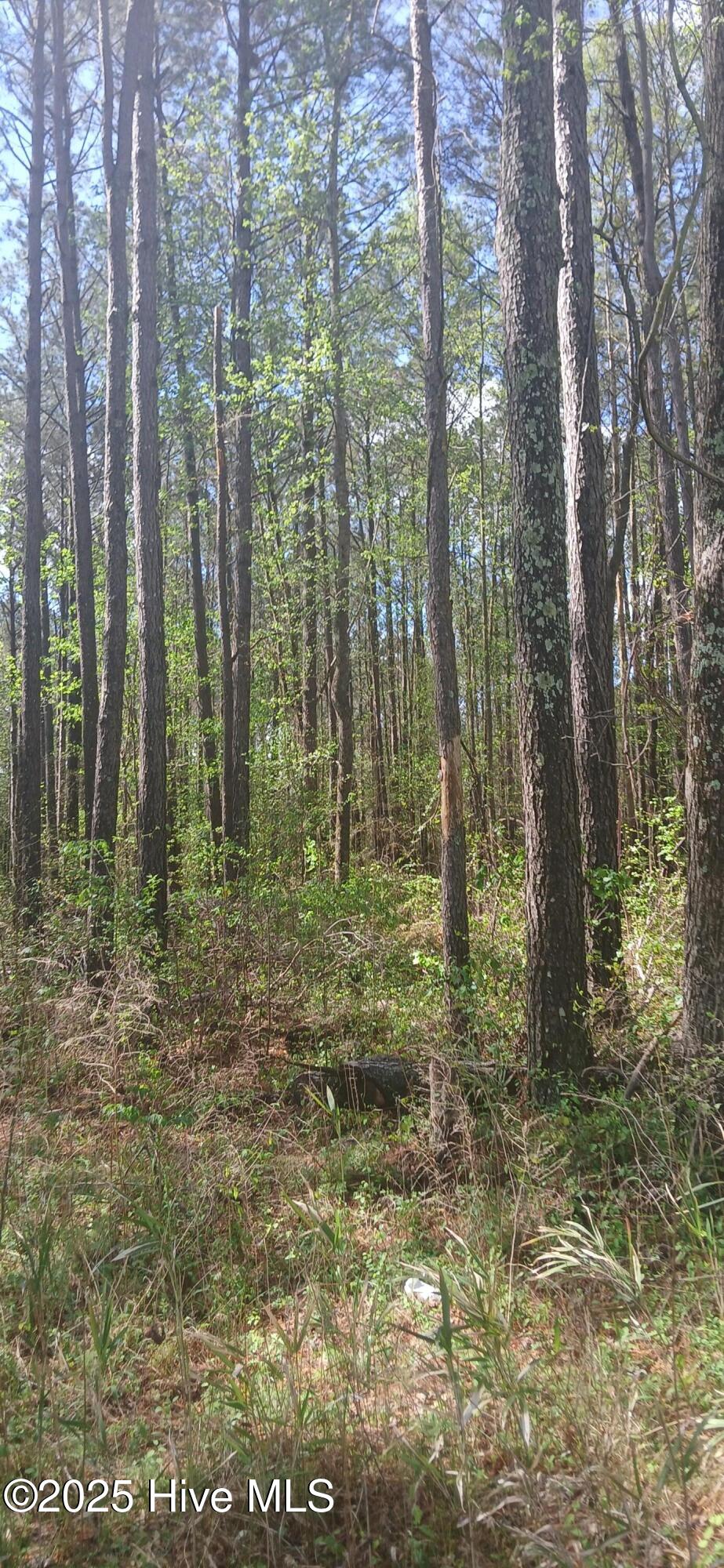 0 Bailey Road Property Photo 8