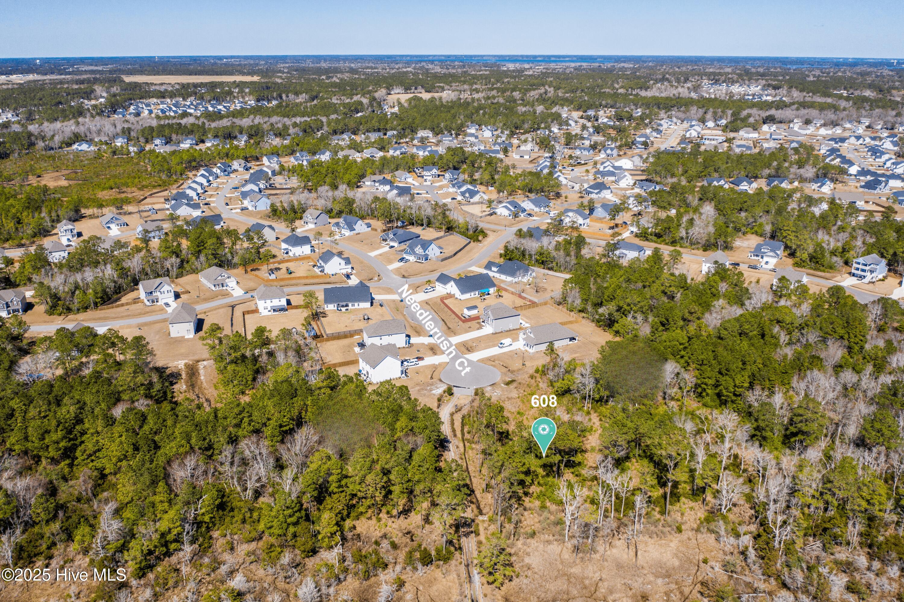 608 Needlerush Court Property Photo 4