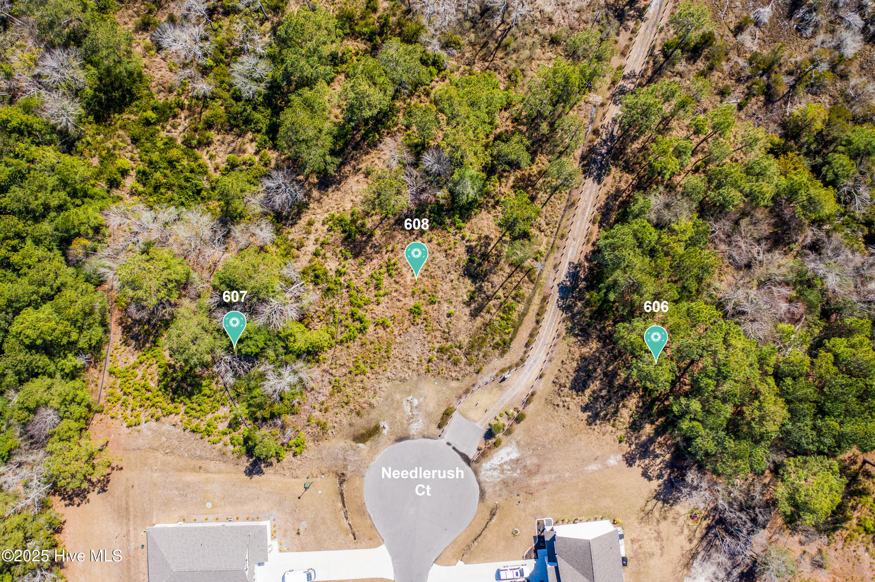 608 Needlerush Court Property Photo 7