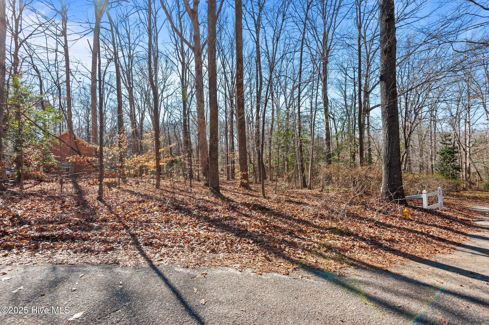 104 Briarwood Court Property Photo 10