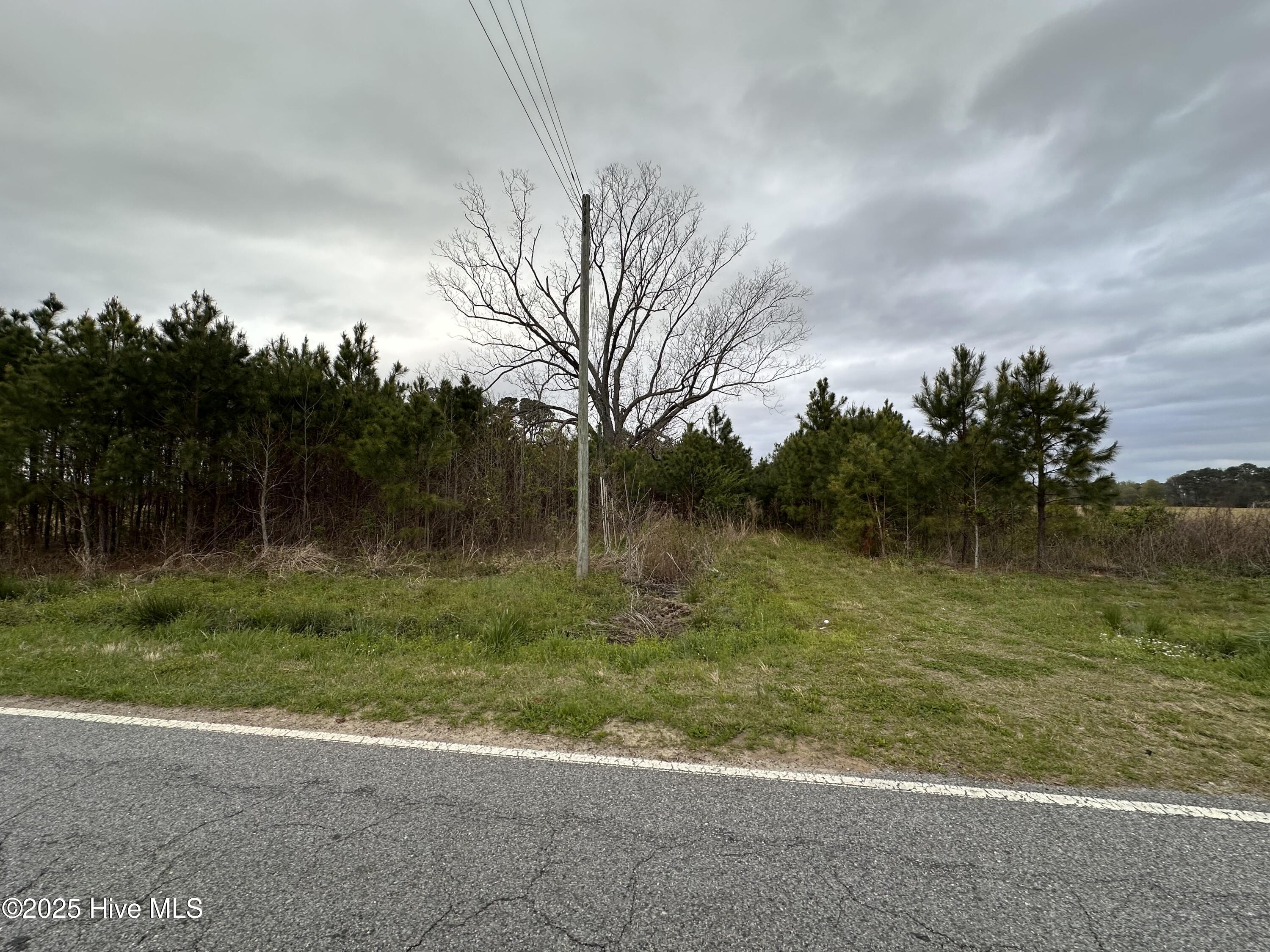 1806 Castoria Road Property Photo 2