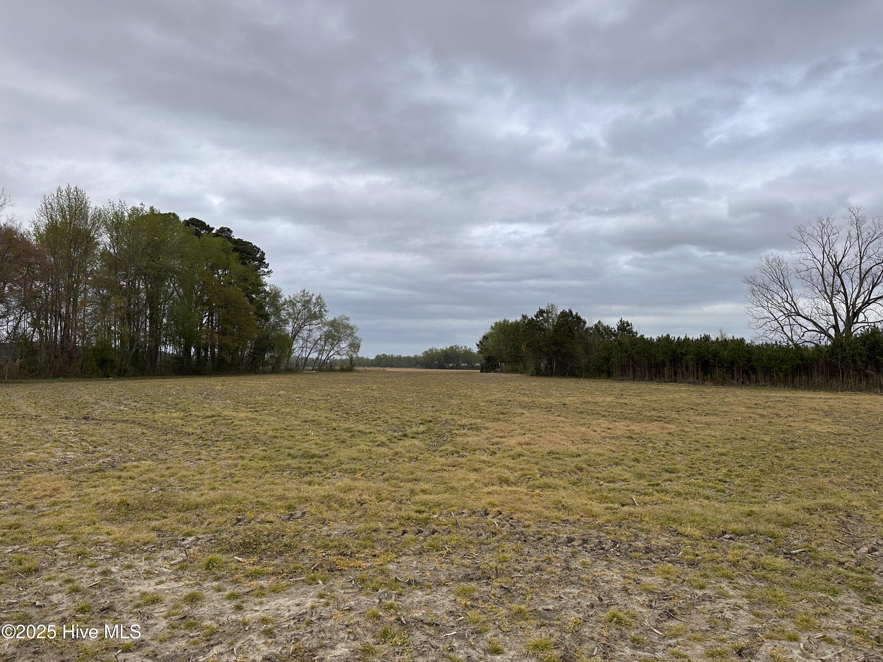 1806 Castoria Road Property Photo 3