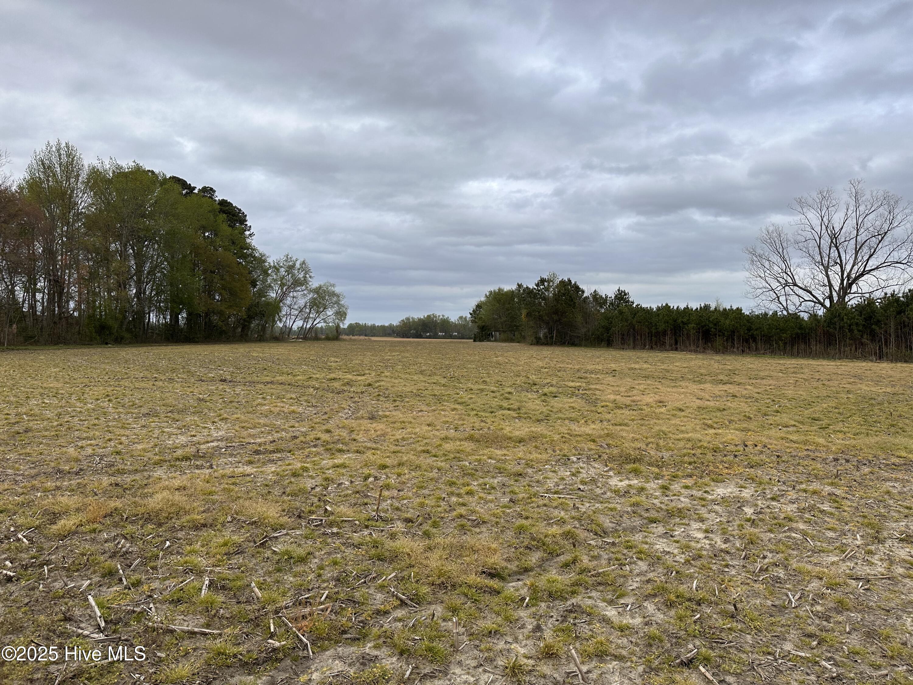 1806 Castoria Road Property Photo 4