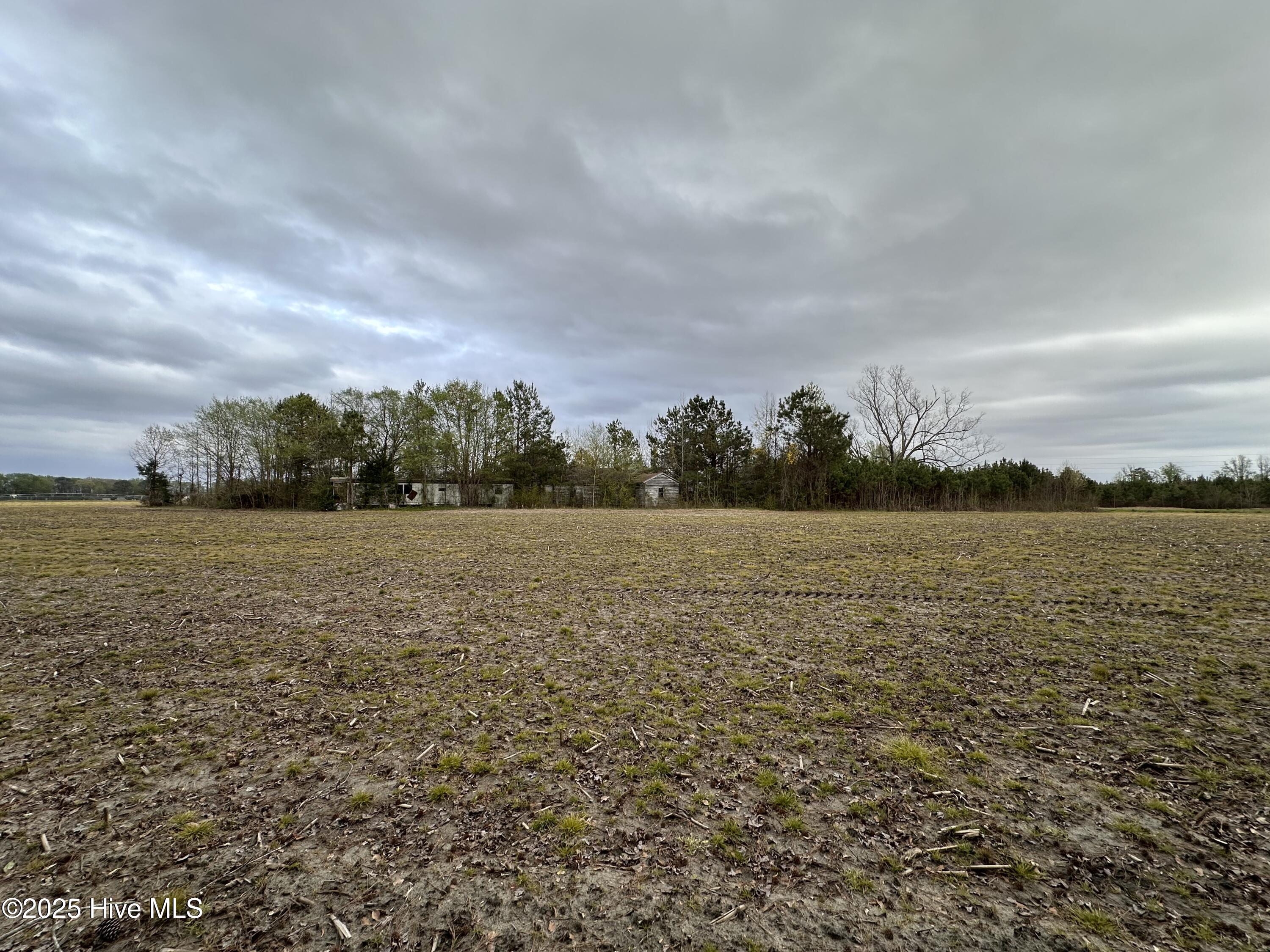 1806 Castoria Road Property Photo 5