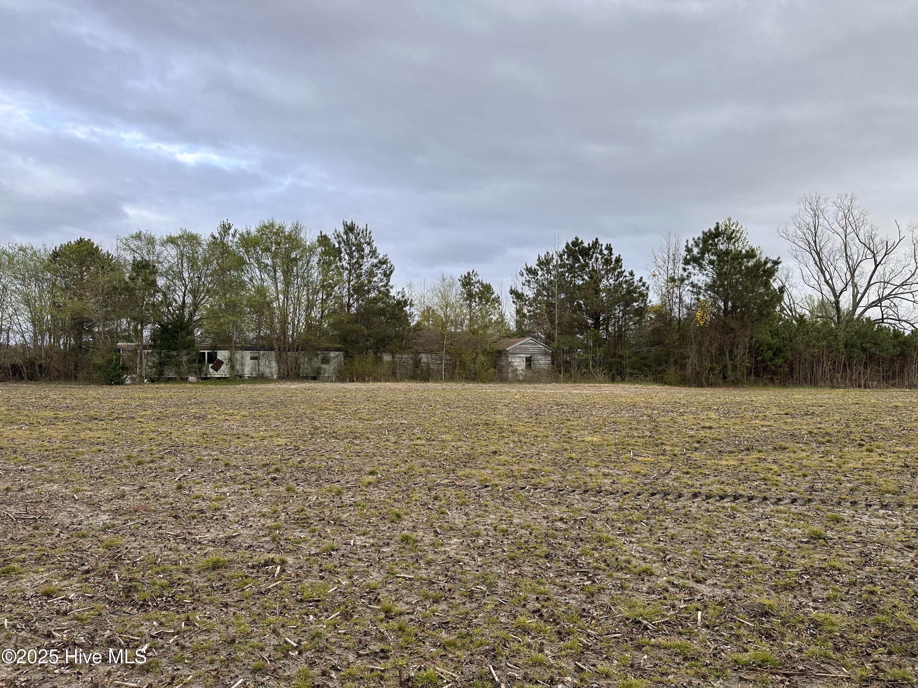 1806 Castoria Road Property Photo 6