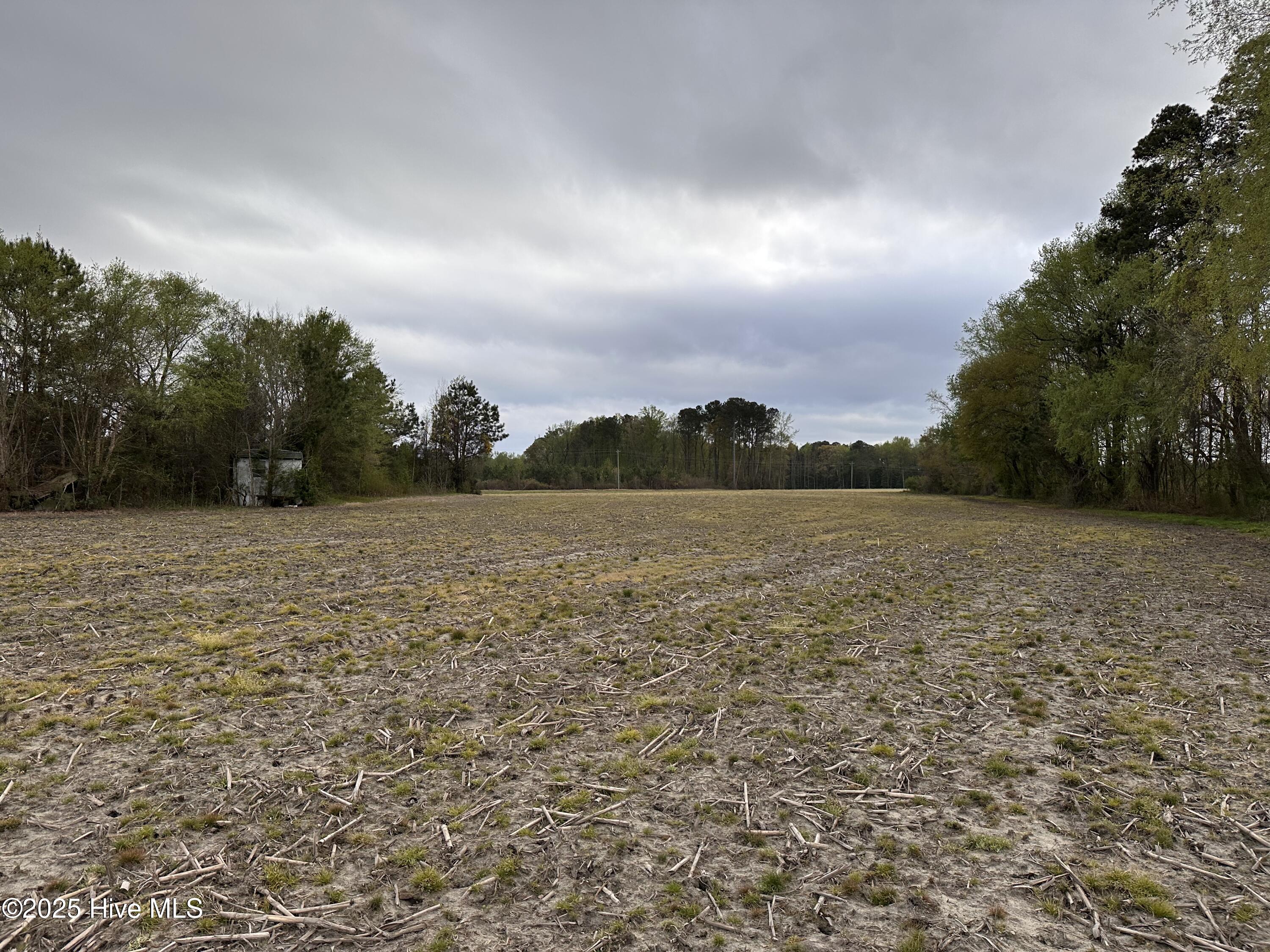 1806 Castoria Road Property Photo 7