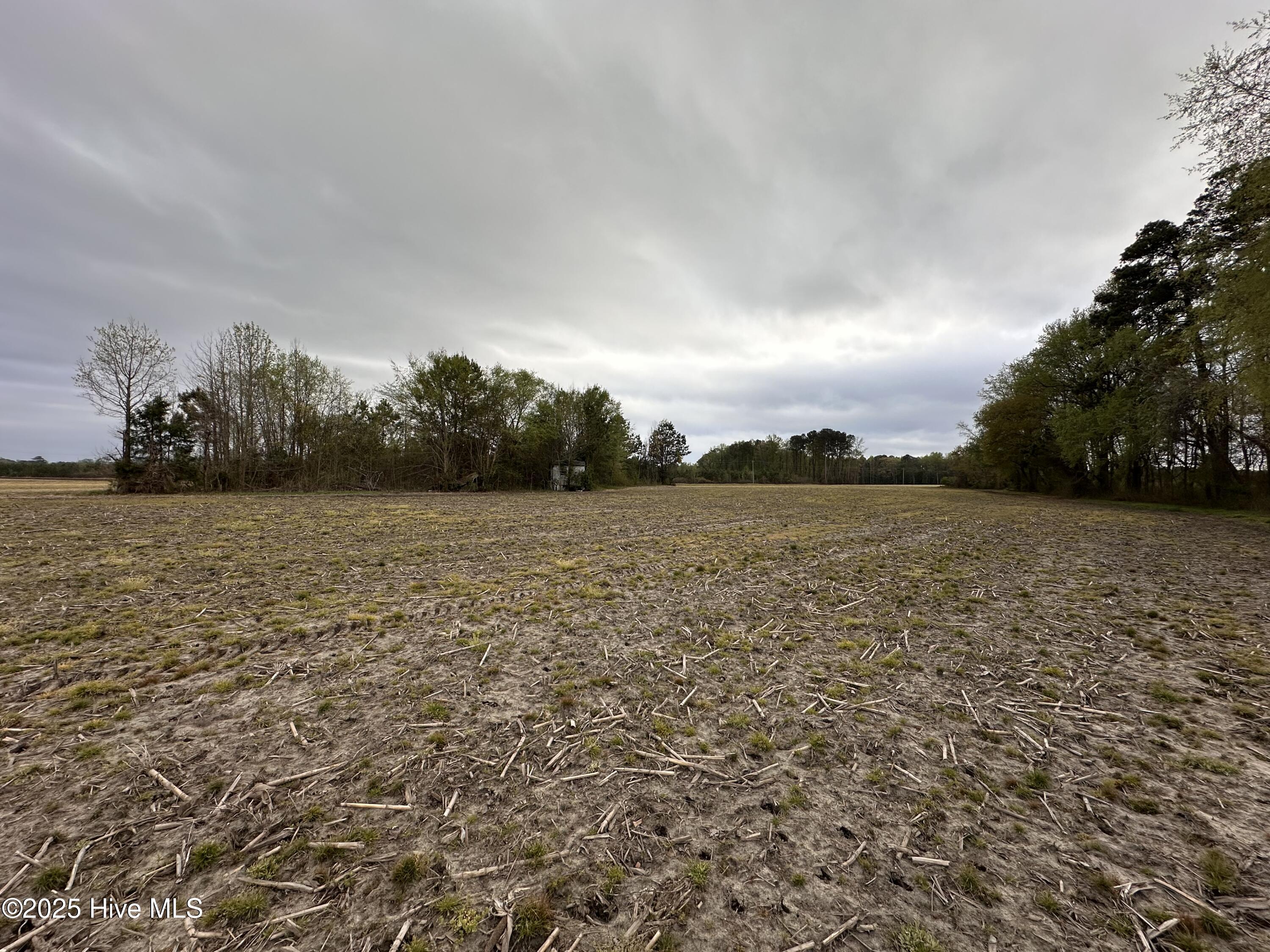 1806 Castoria Road Property Photo 8