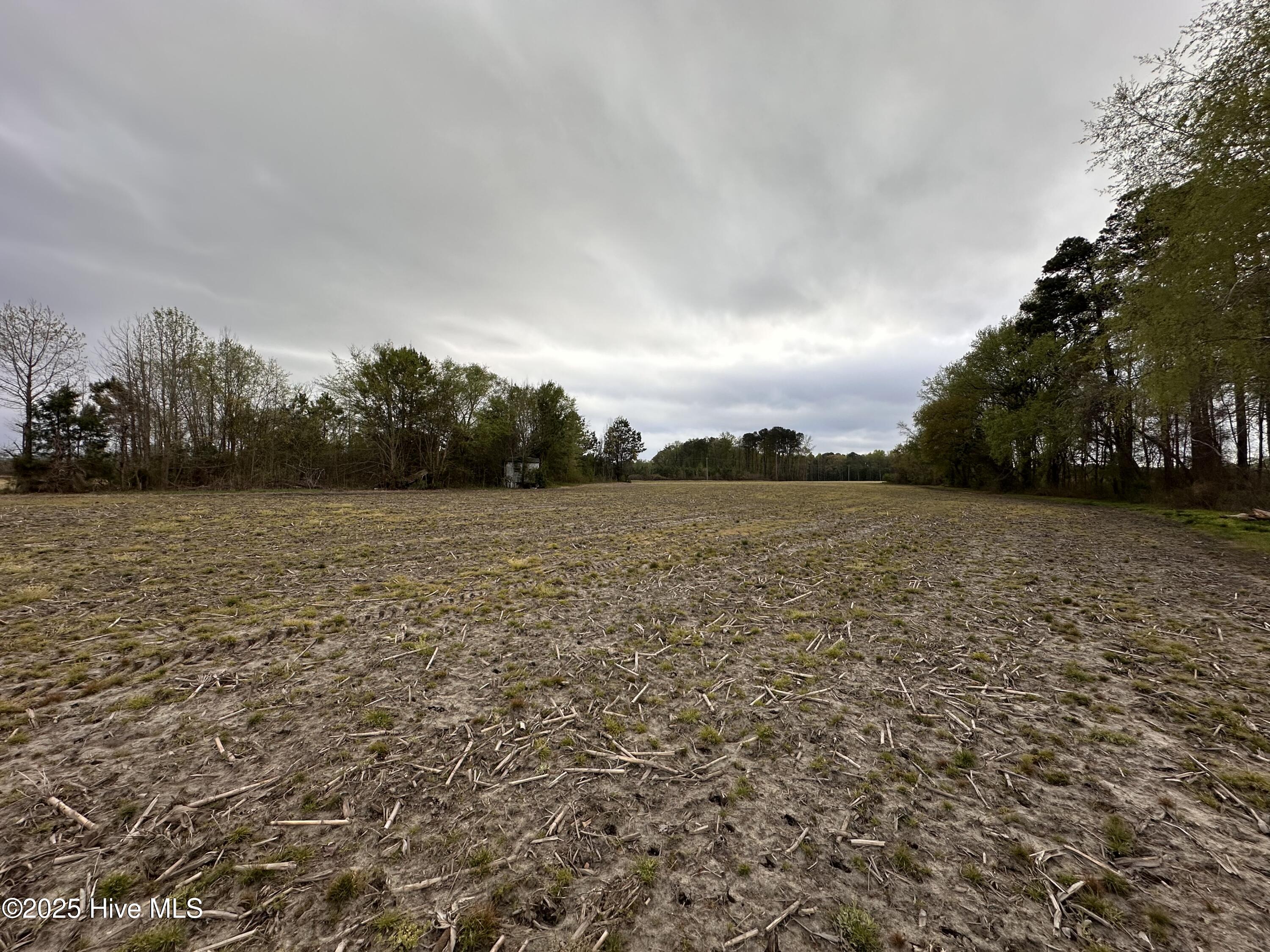 1806 Castoria Road Property Photo 9