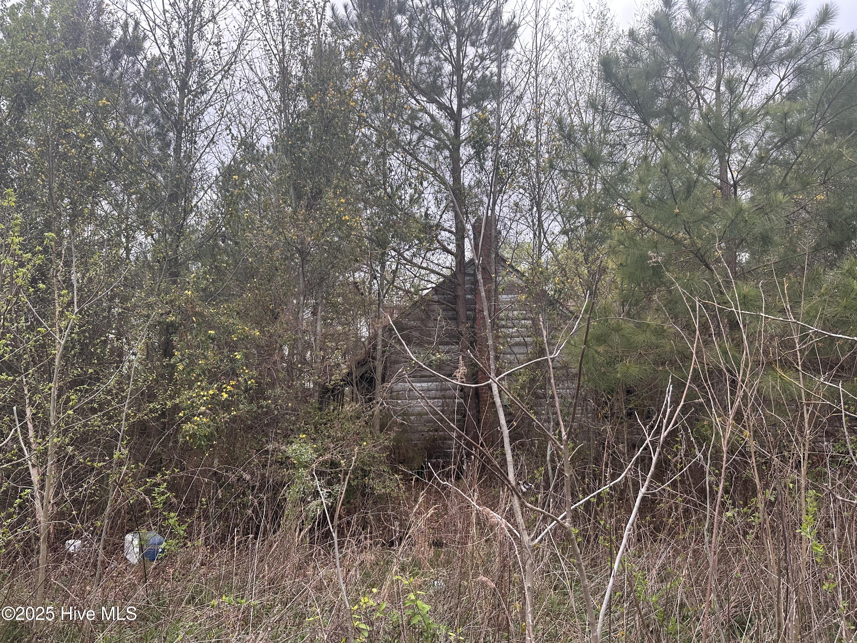 1806 Castoria Road Property Photo 10