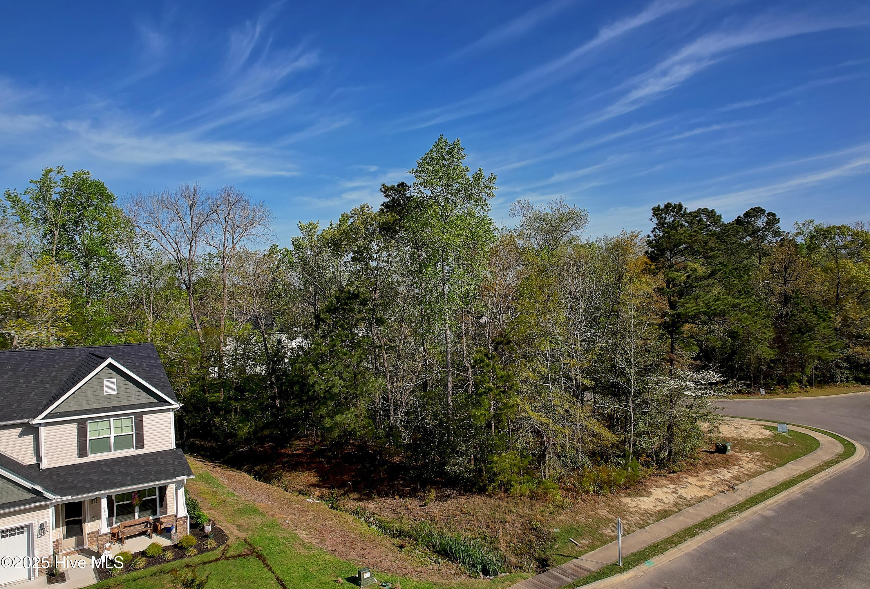 976 Billys Dream Circle Property Photo 1