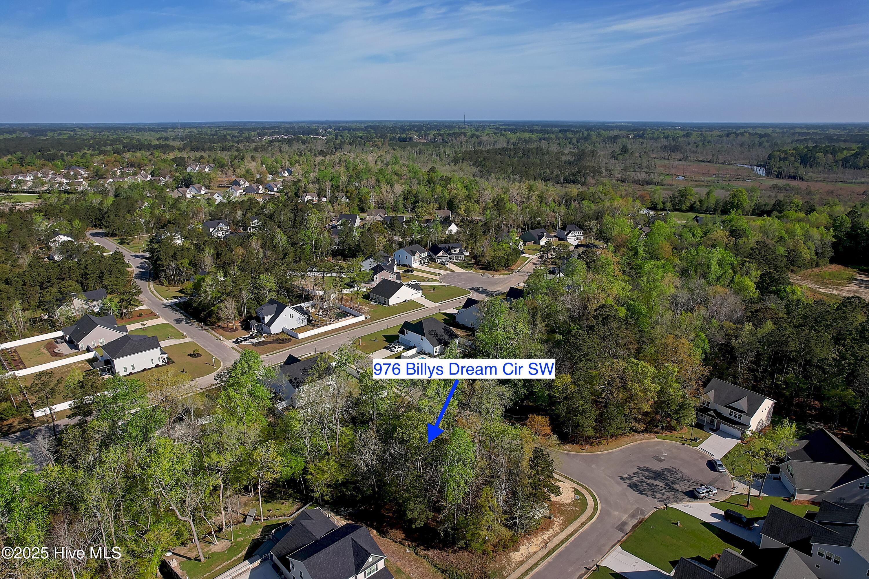976 Billys Dream Circle Property Photo 6
