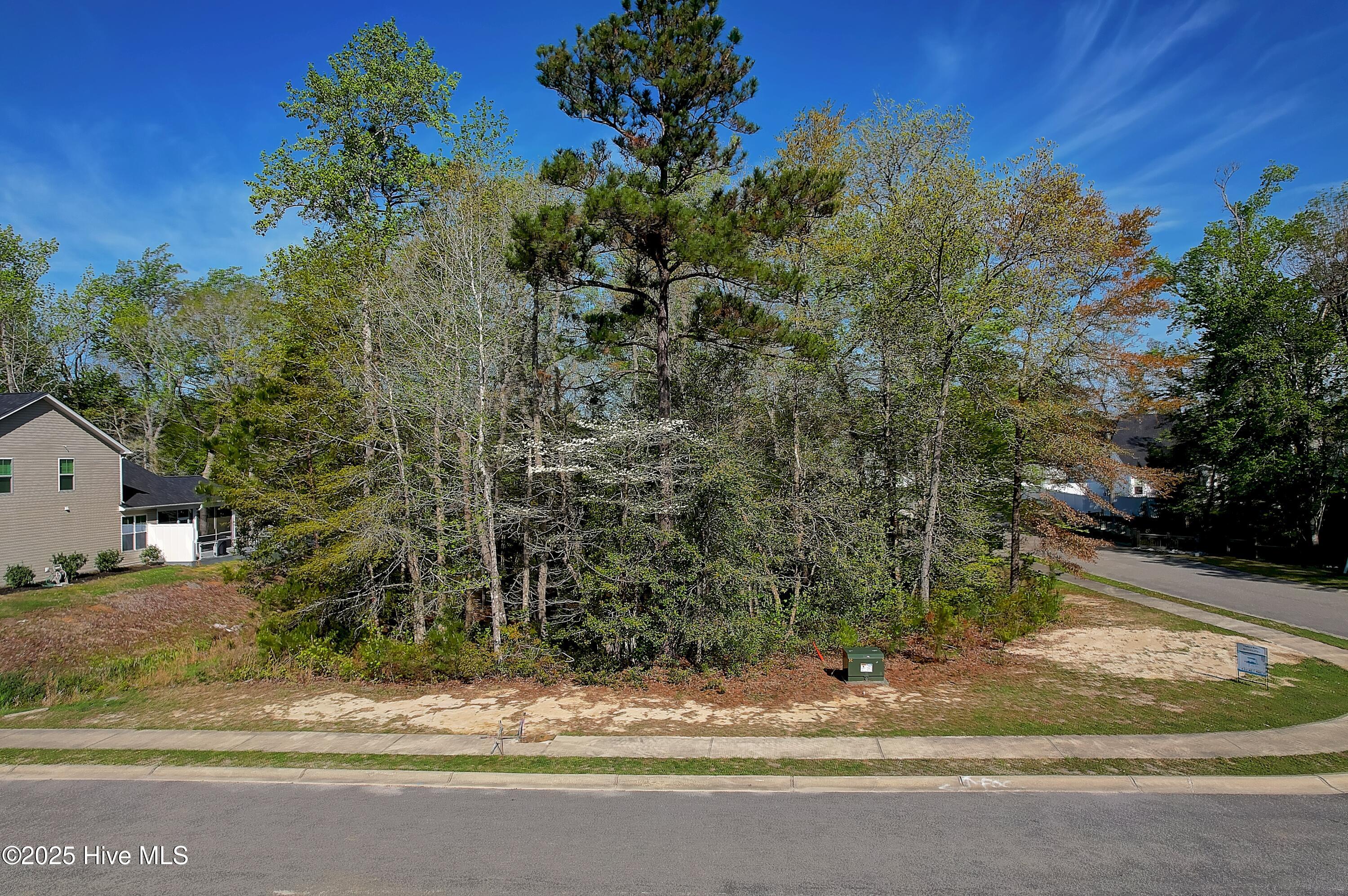 976 Billys Dream Circle Property Photo 7