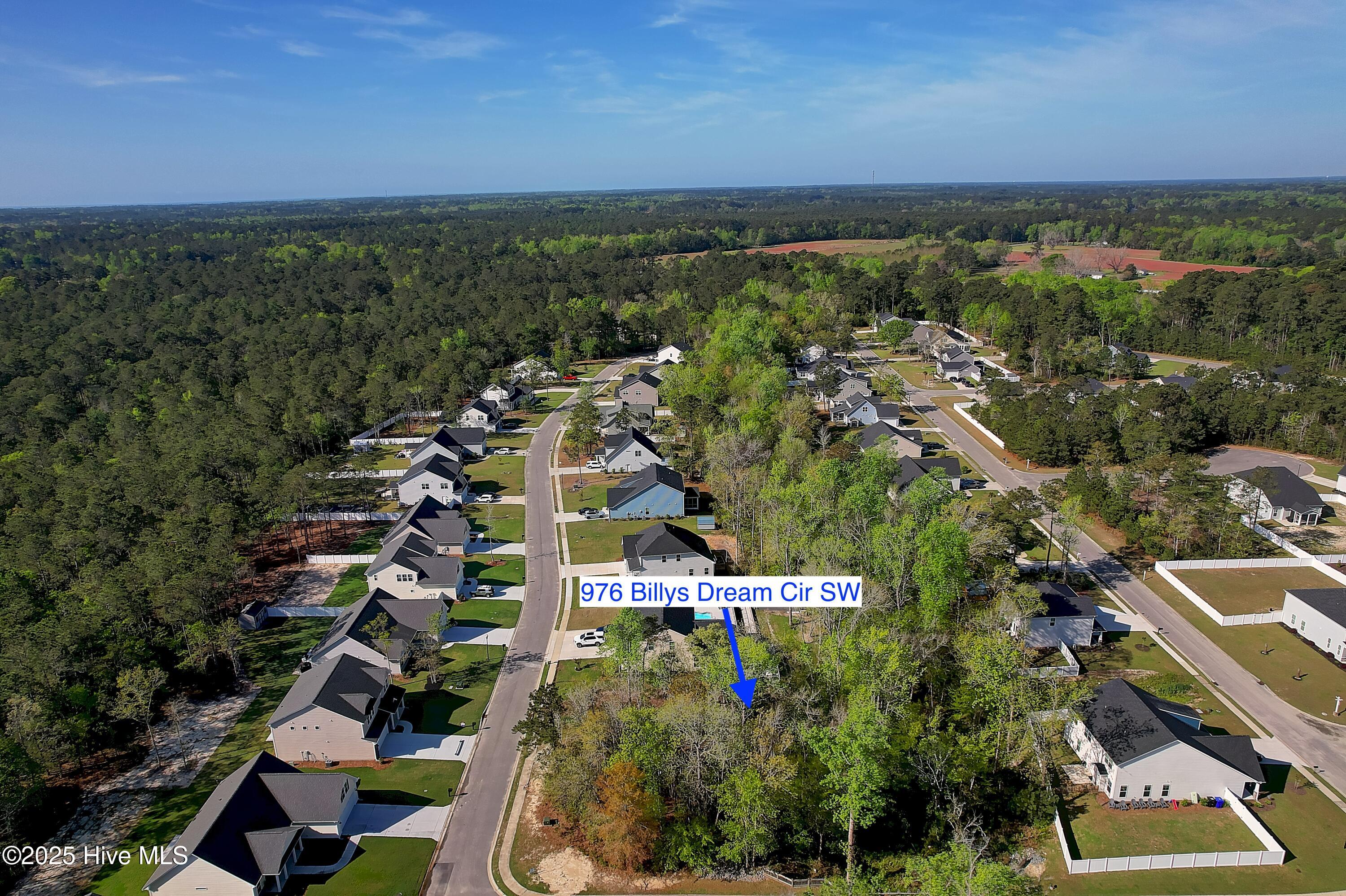 976 Billys Dream Circle Property Photo 10