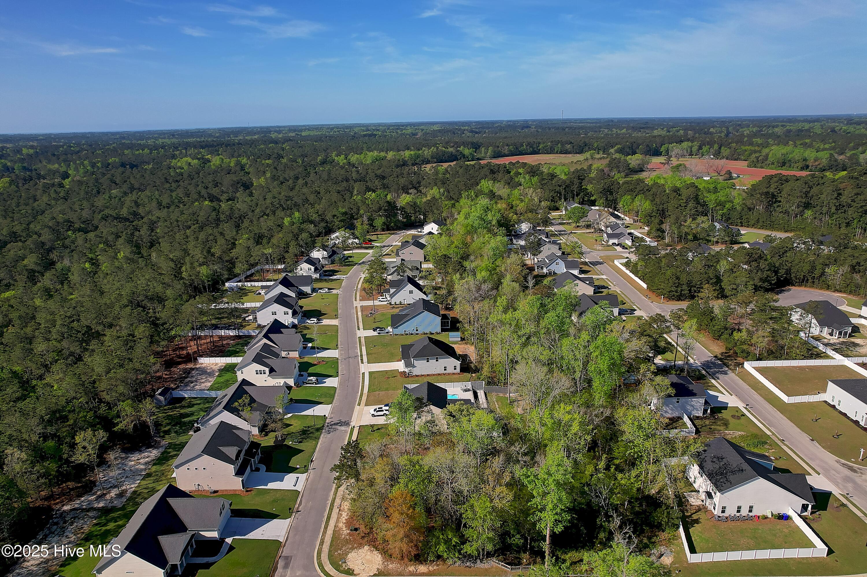 976 Billys Dream Circle Property Photo 11