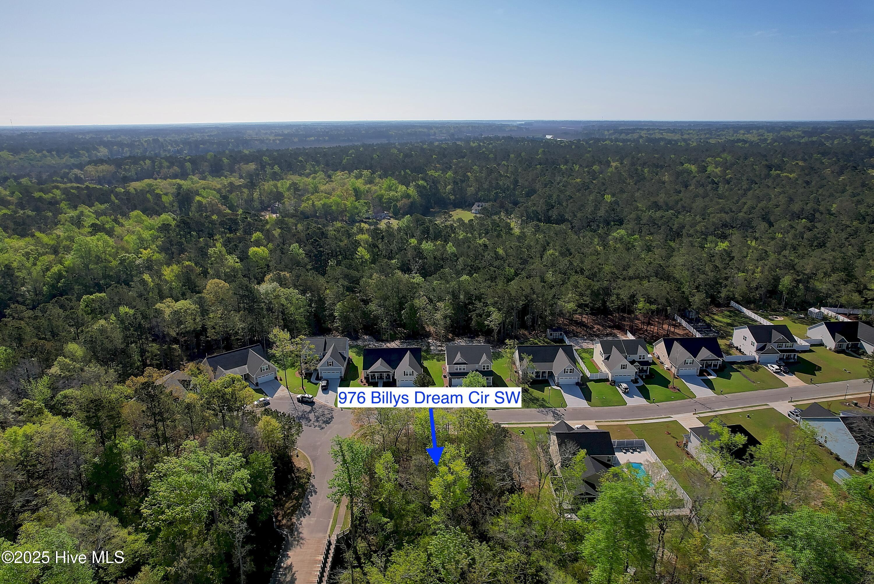 976 Billys Dream Circle Property Photo 13