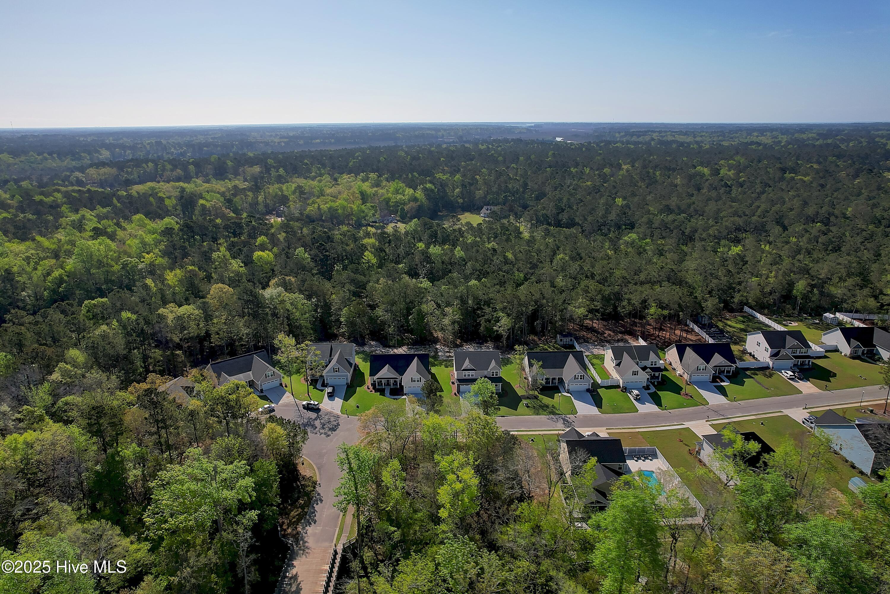 976 Billys Dream Circle Property Photo 14