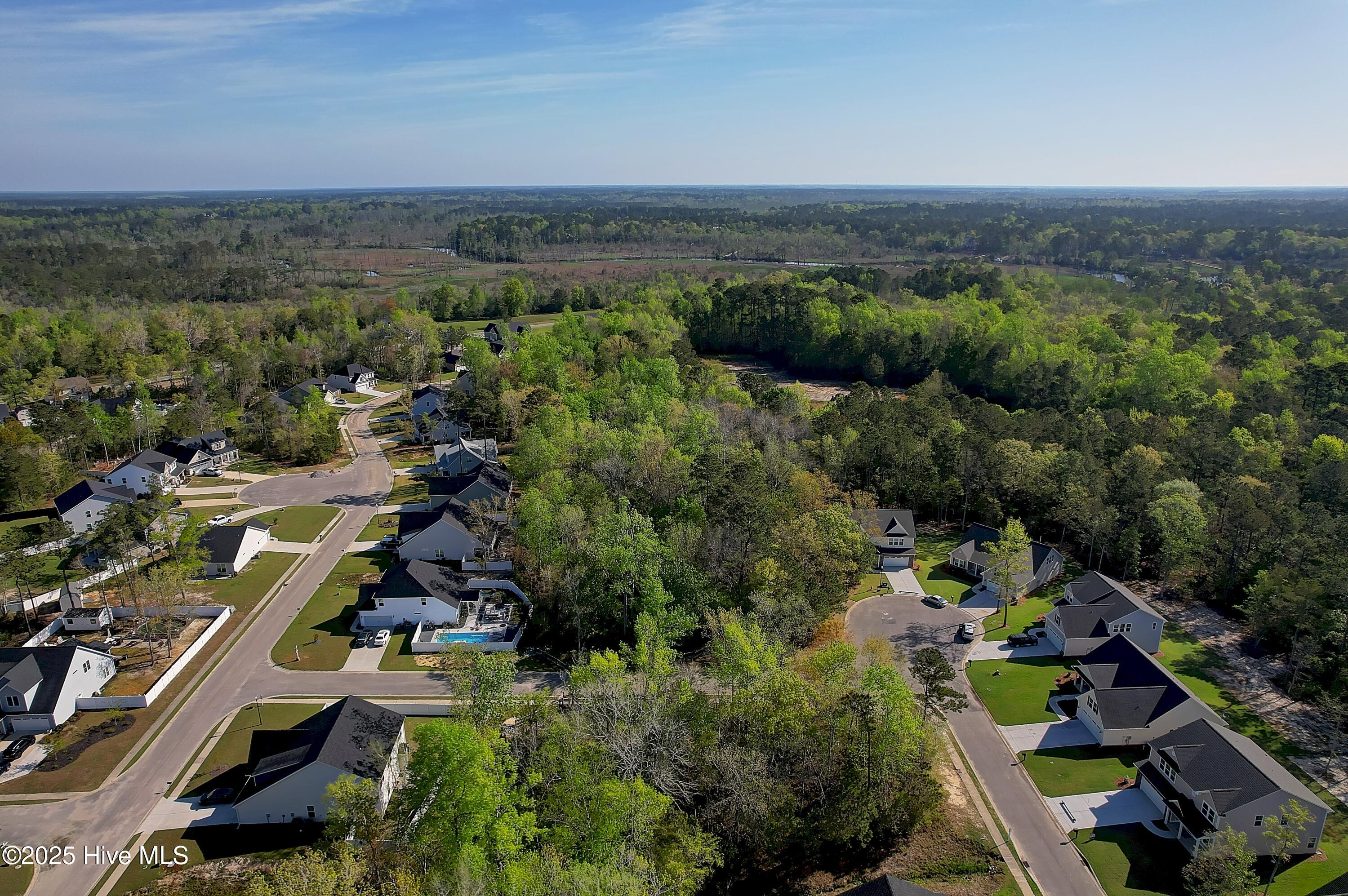 976 Billys Dream Circle Property Photo 17