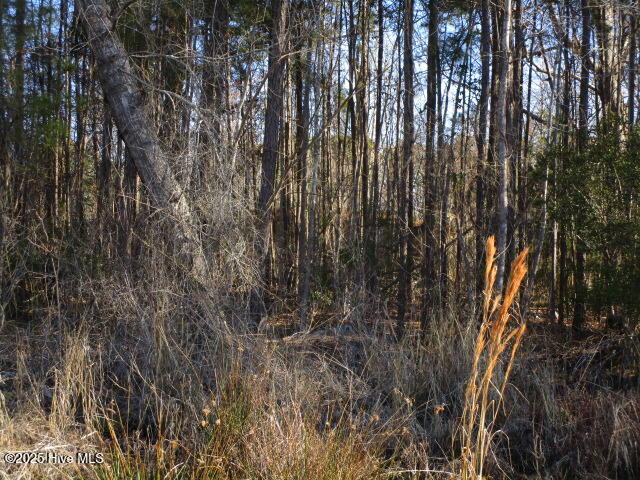 163 Spindrift Trail Property Photo 2