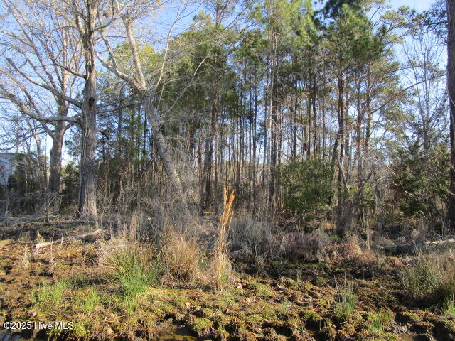 163 Spindrift Trail Property Photo 3