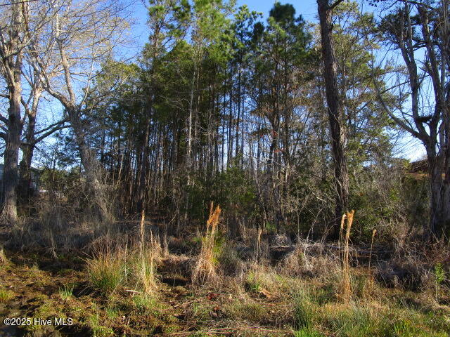 163 Spindrift Trail Property Photo 4