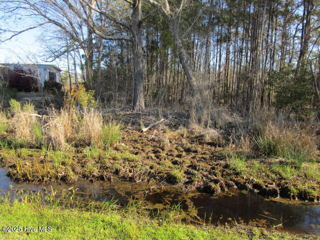 163 Spindrift Trail Property Photo 5