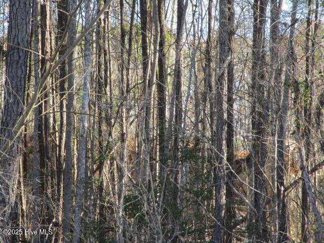 163 Spindrift Trail Property Photo 6