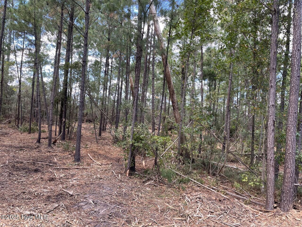 223 Garbacon Drive Property Photo 23