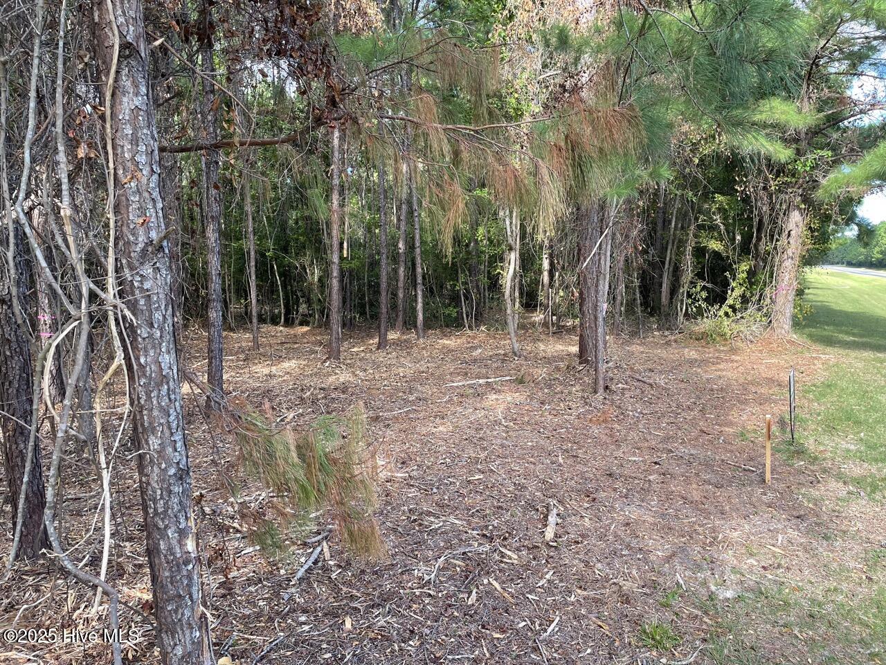 223 Garbacon Drive Property Photo 26