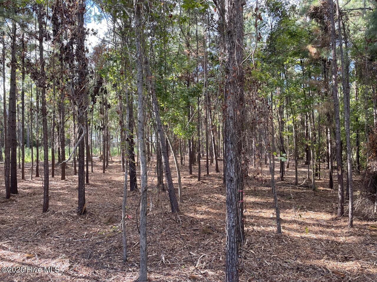 223 Garbacon Drive Property Photo 32