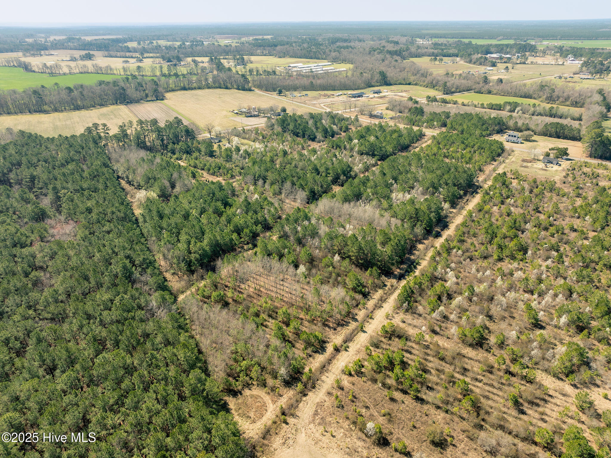 20.86 Acre Crooked Run Road Property Photo 4