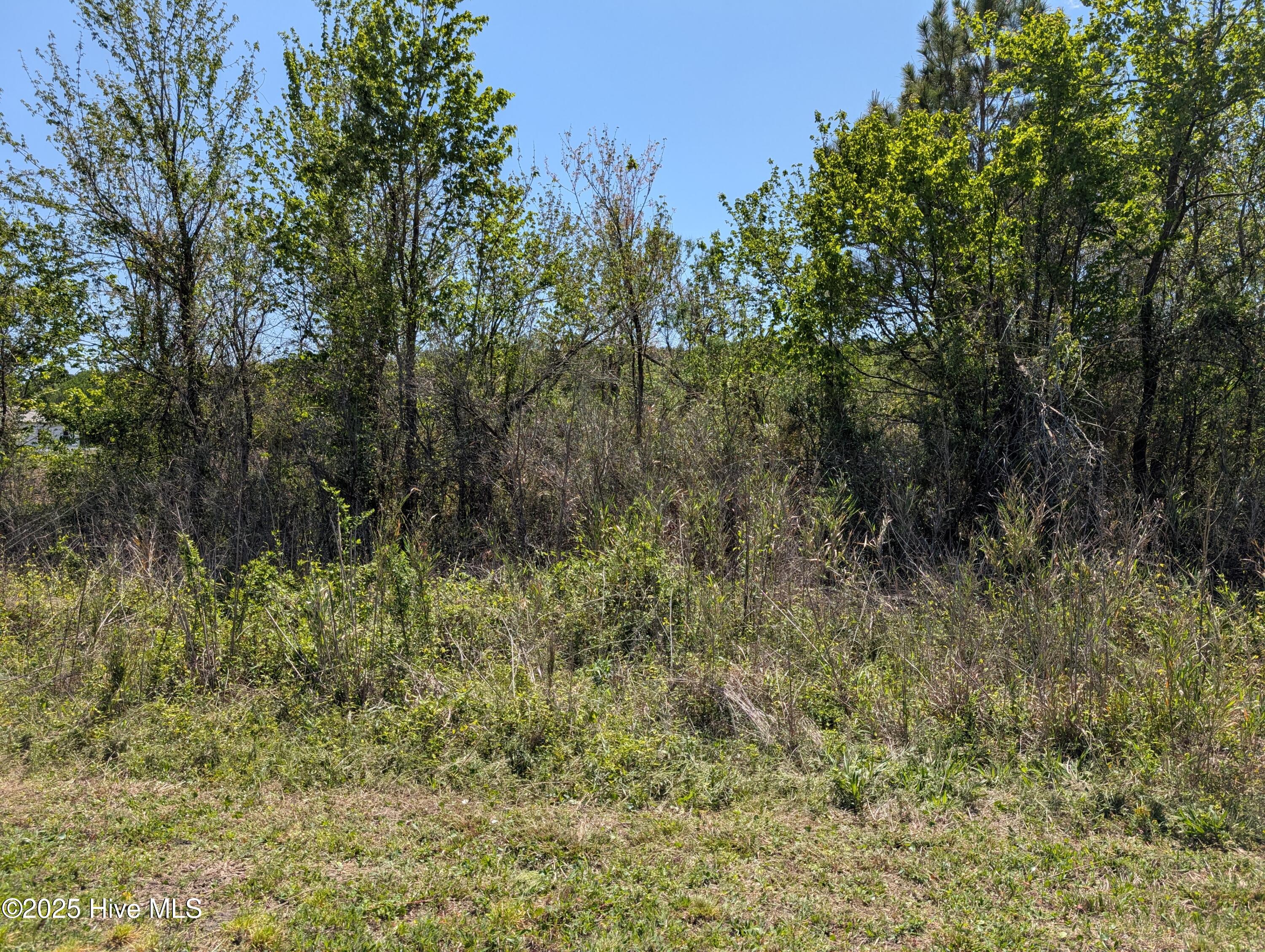 000 111 Property Photo 3