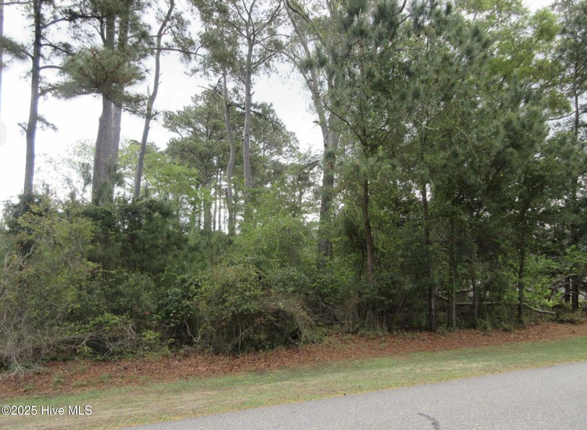 3005 Martins Point Road Property Photo