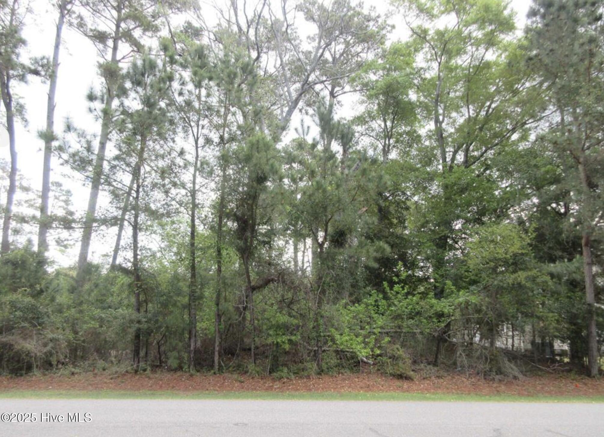 3005 Martins Point Road Property Photo 2