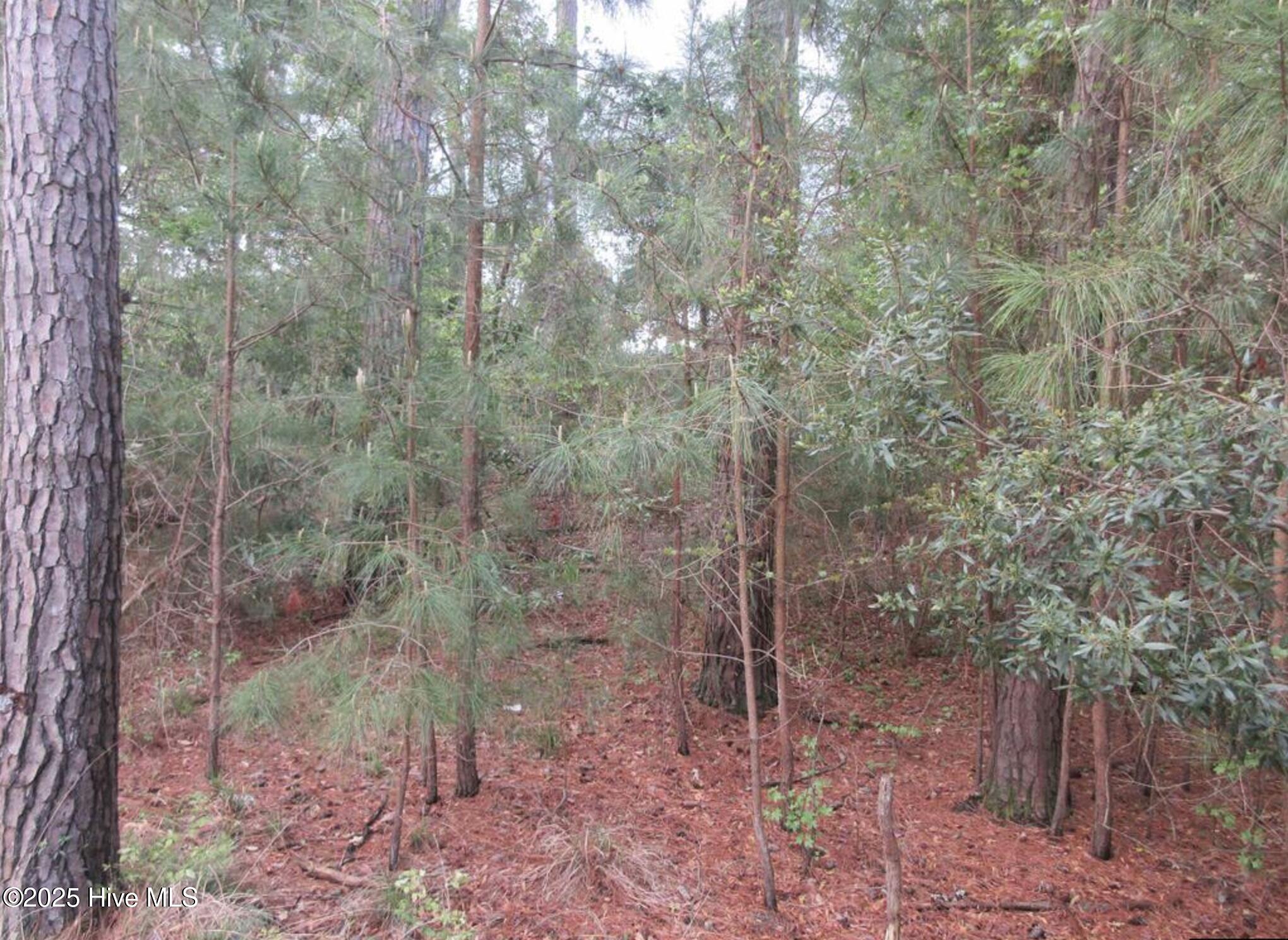 3005 Martins Point Road Property Photo 3