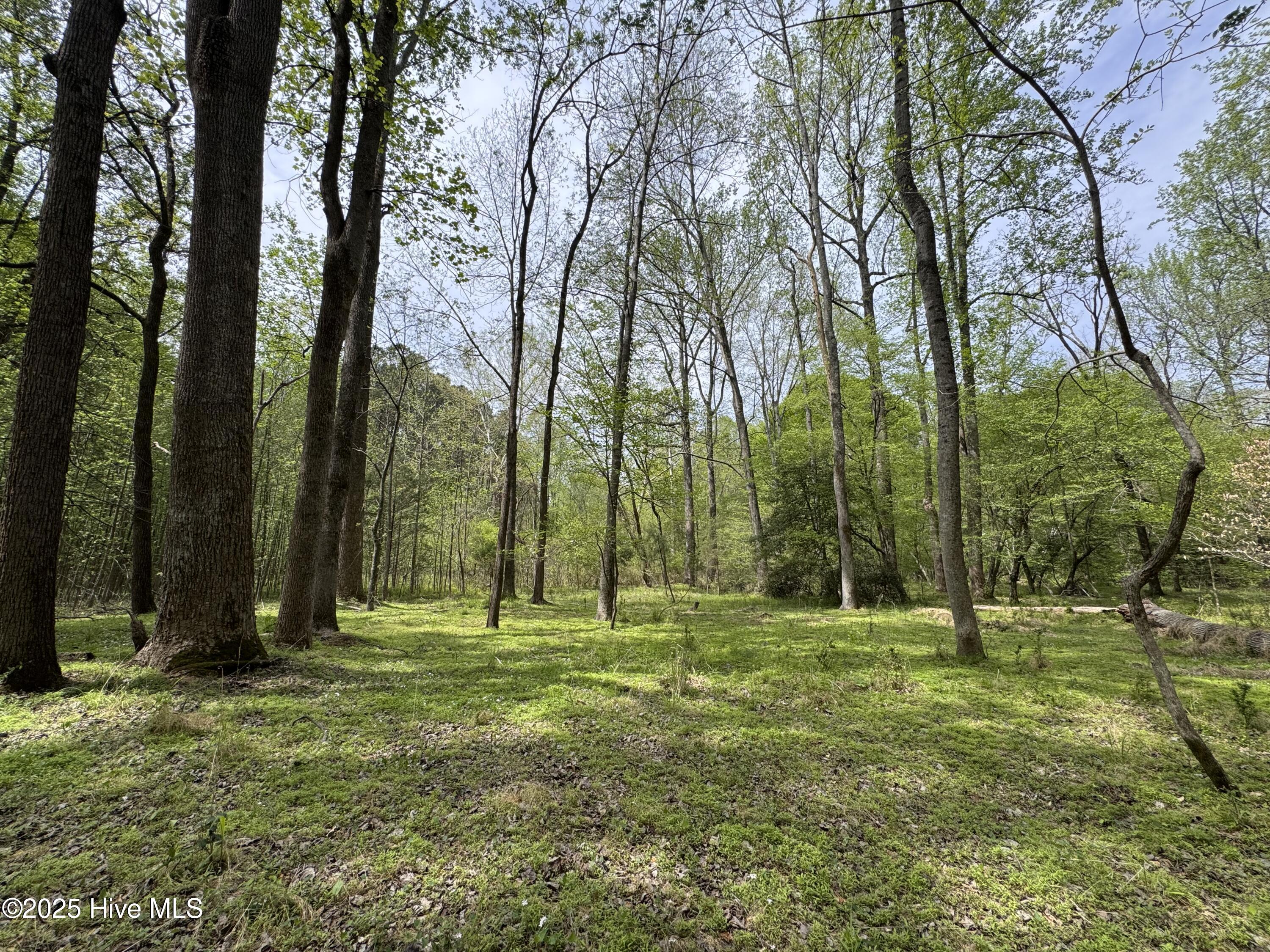 0 Rabbit Run Property Photo 3